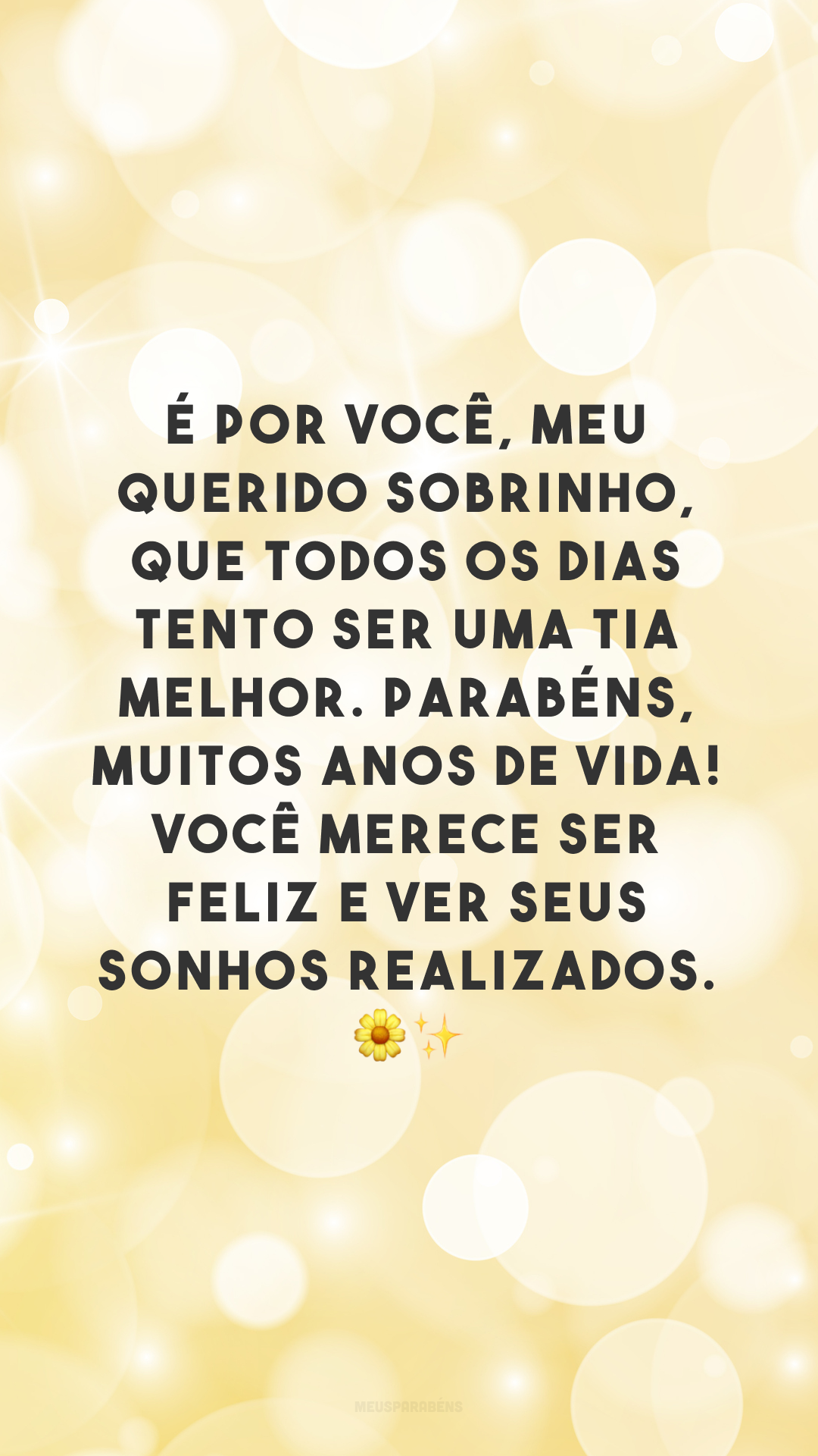 É por você, meu querido sobrinho, que todos os dias tento ser uma tia melhor. Parabéns, muitos anos de vida! Você merece ser feliz e ver seus sonhos realizados. 🌼✨