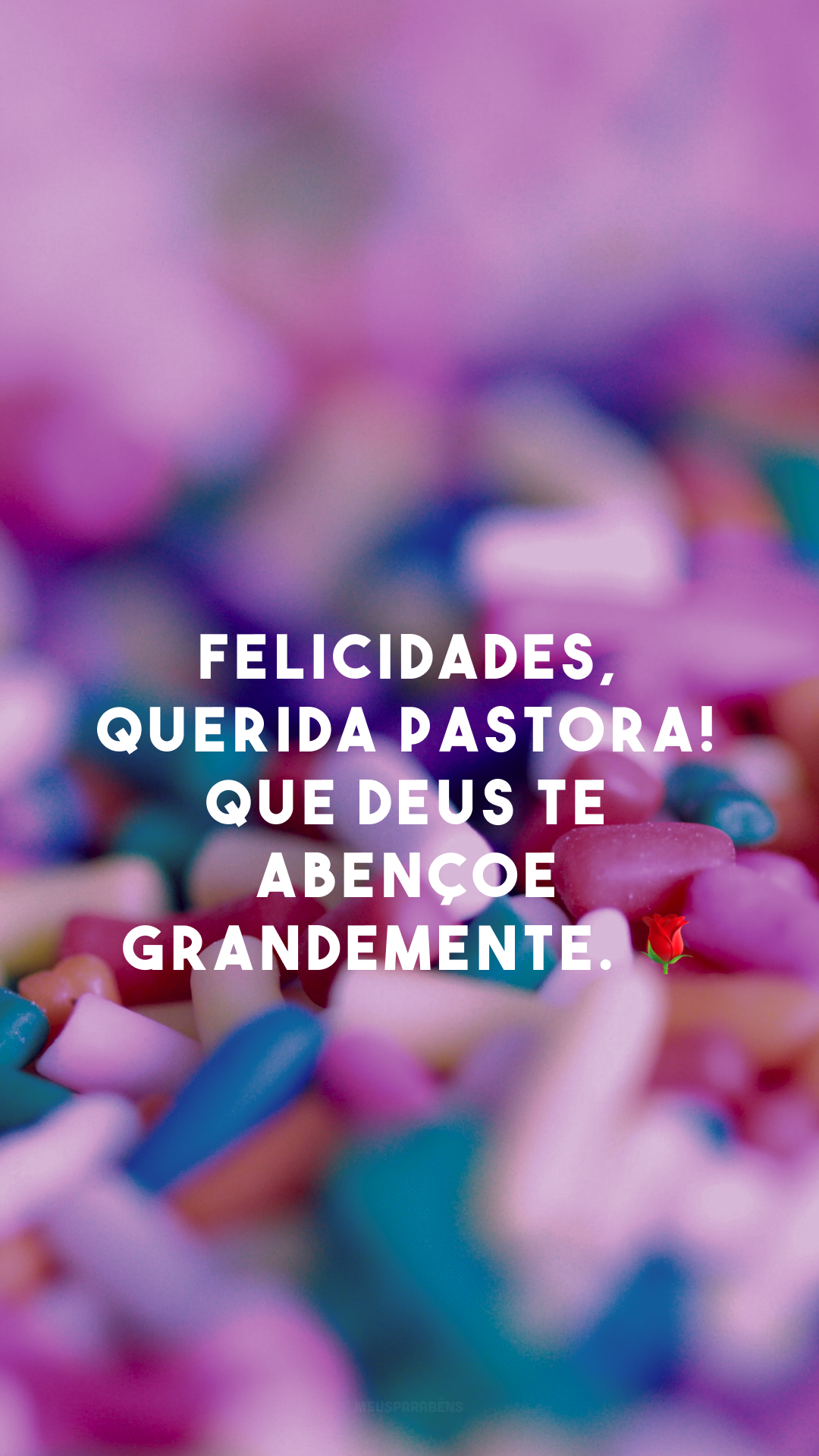 Felicidades, querida pastora! Que Deus te abençoe grandemente. 🌹