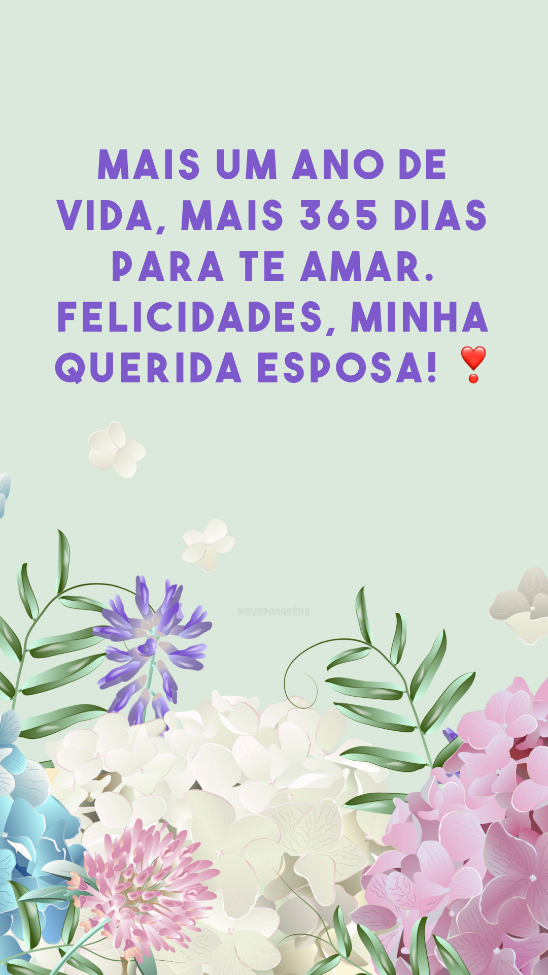 Mais um ano de vida, mais 365 dias para te amar. Felicidades, minha querida esposa! ❣