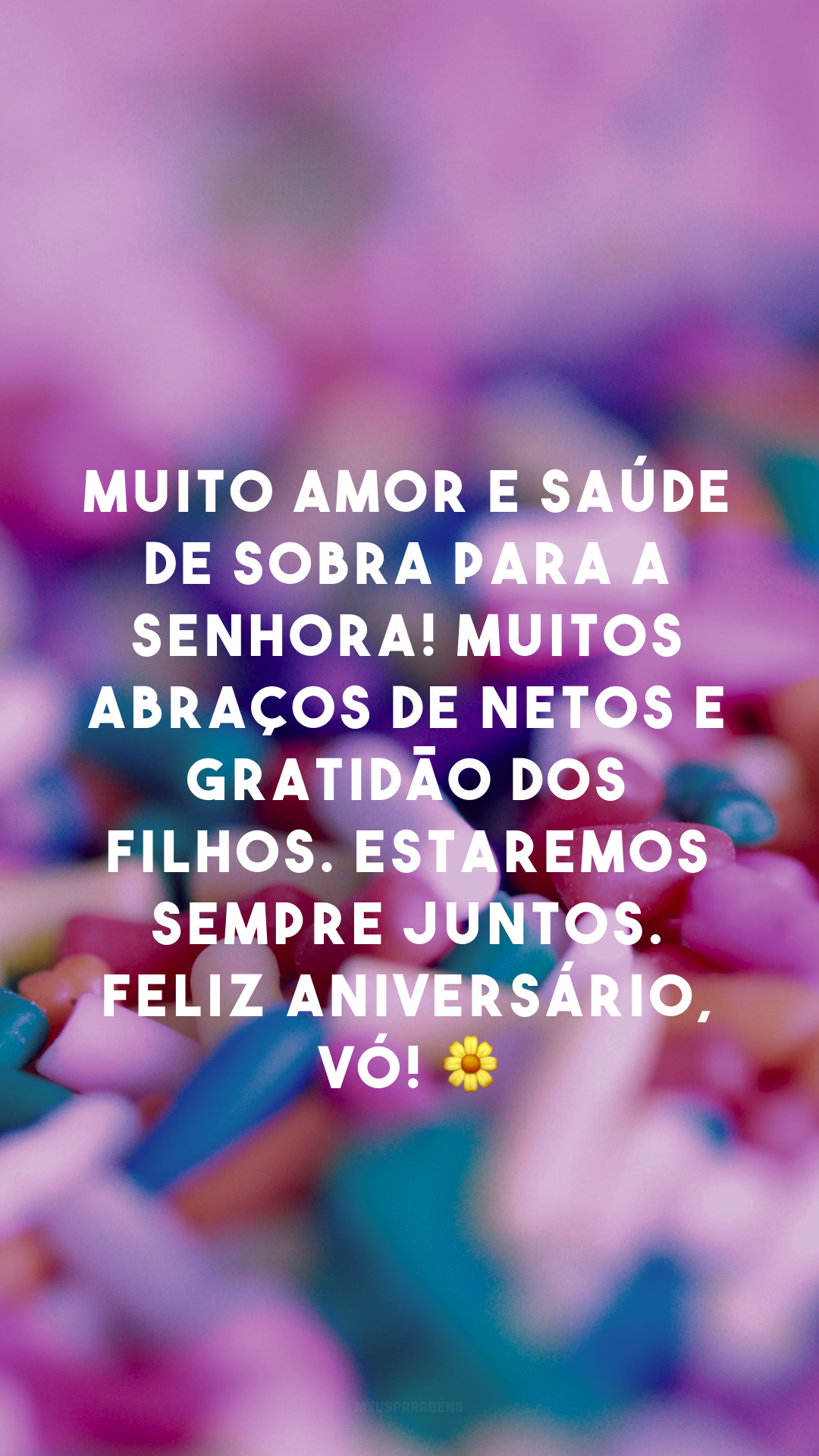 Muito amor e saúde de sobra para a senhora! Muitos abraços de netos e gratidão dos filhos. Estaremos sempre juntos. Feliz aniversário, vó! 🌼