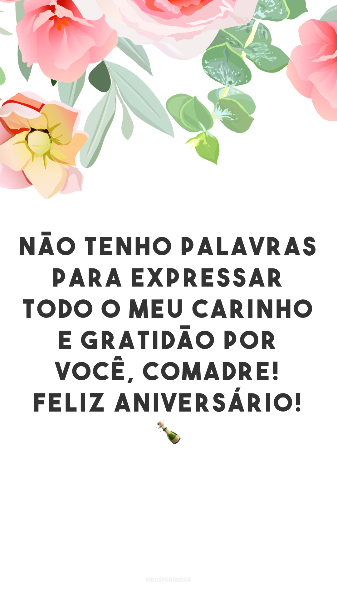 Não tenho palavras para expressar todo o meu carinho e gratidão por você, comadre! Feliz aniversário! 🍾