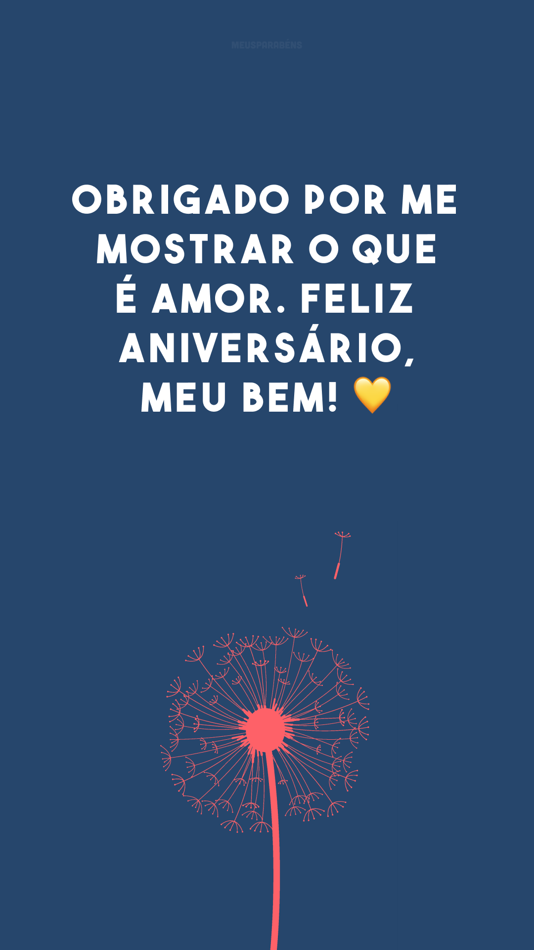 Obrigado por me mostrar o que é amor. Feliz aniversário, meu bem! 💛