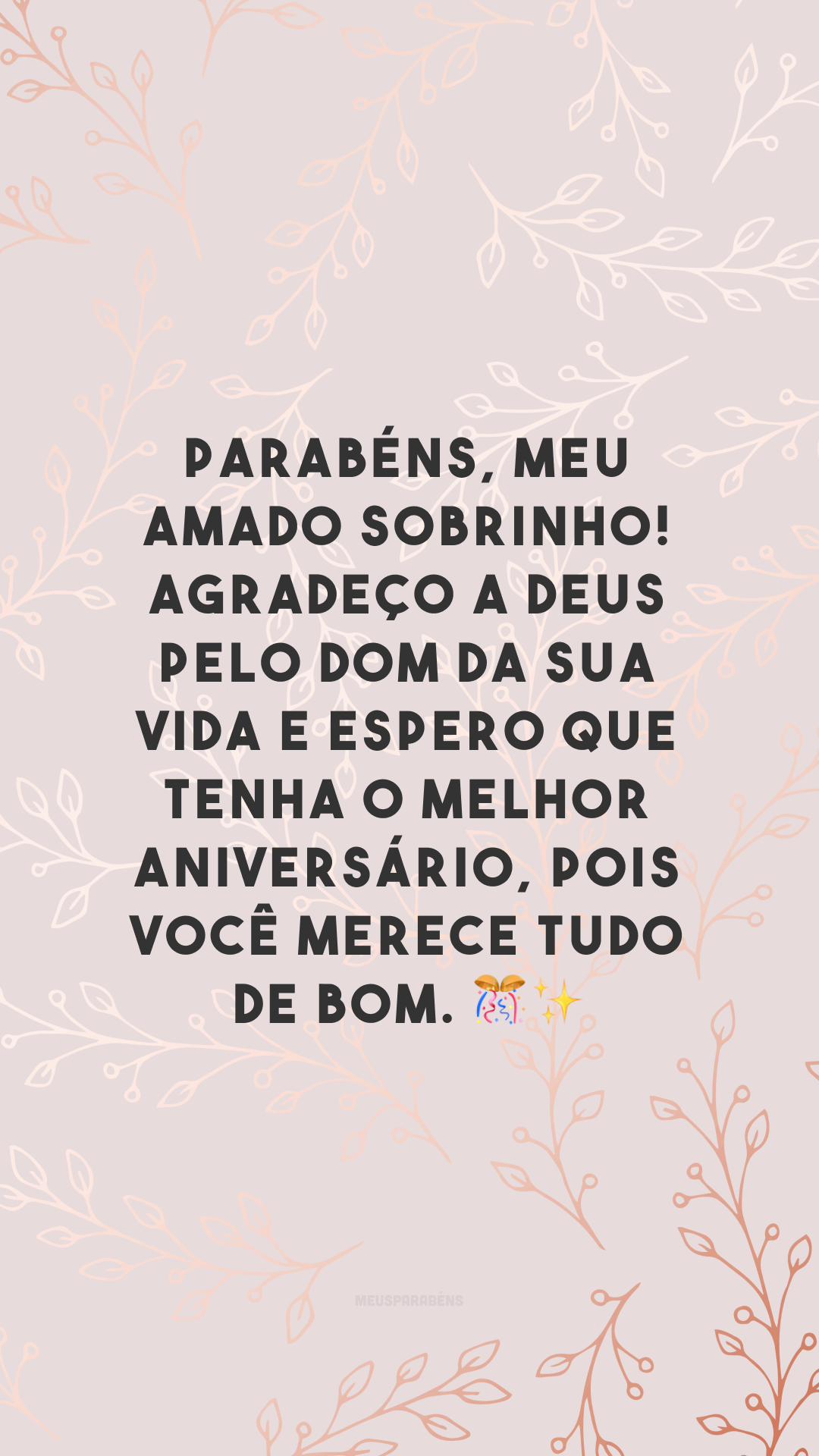 Parabéns, meu amado sobrinho! Agradeço a Deus pelo dom da sua vida e espero que tenha o melhor aniversário, pois você merece tudo de bom. 🎊✨