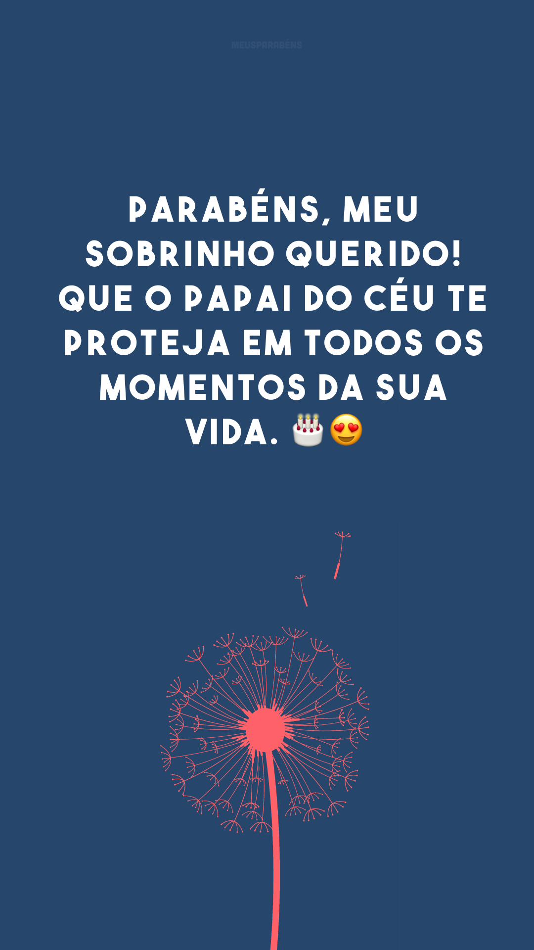 Parabéns, meu sobrinho querido! Que o Papai do Céu te proteja em todos os momentos da sua vida. 🎂😍