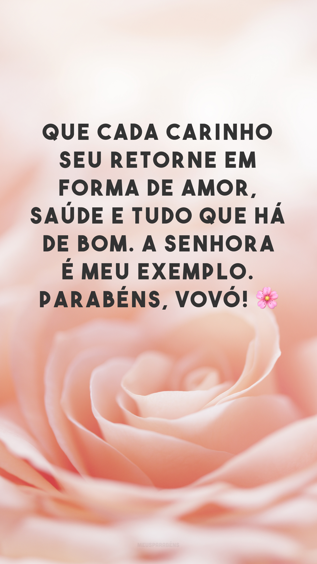 Que cada carinho seu retorne em forma de amor, saúde e tudo que há de bom. A senhora é meu exemplo. Parabéns, vovó! 🌸