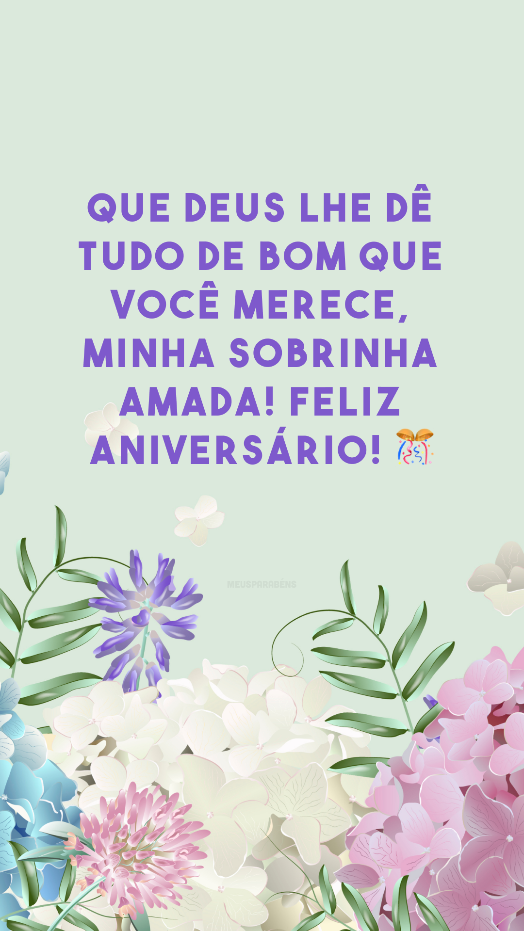 Que Deus lhe dê tudo de bom que você merece, minha sobrinha amada! Feliz aniversário! 🎊