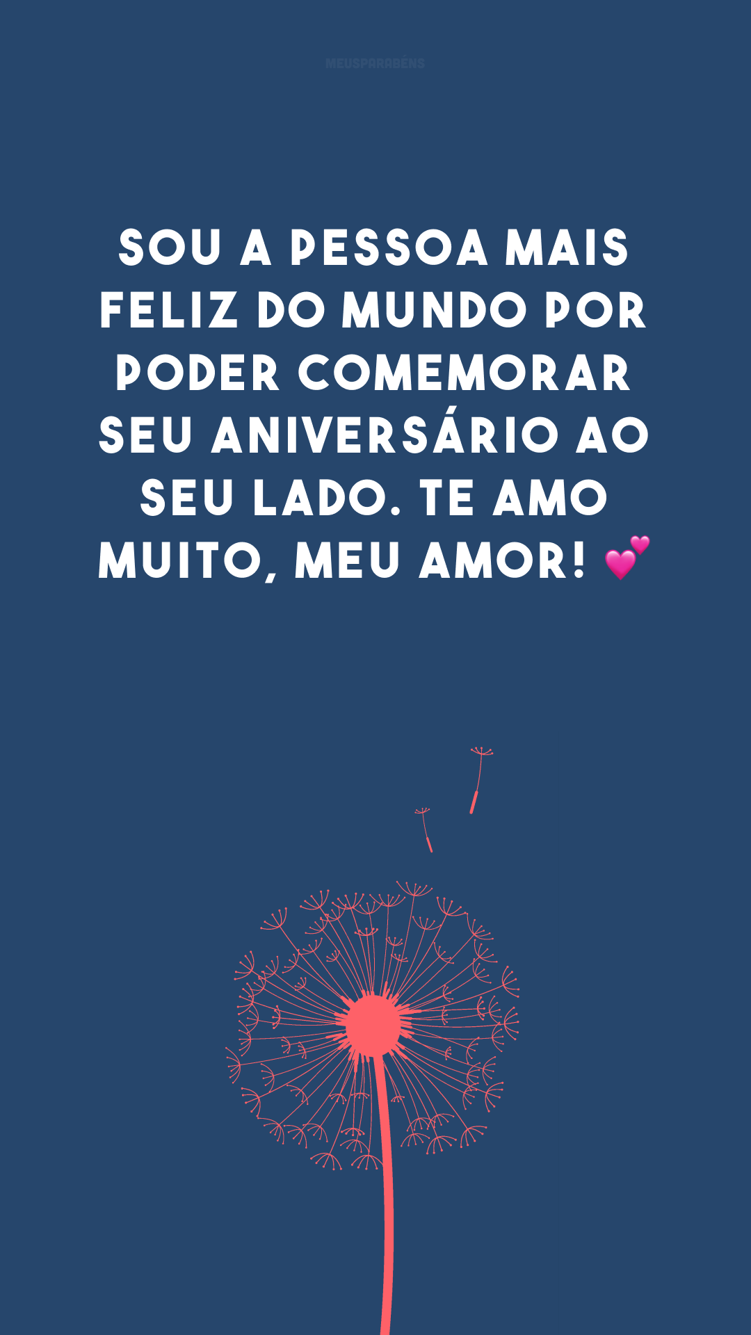 Sou a pessoa mais feliz do mundo por poder comemorar seu aniversário ao seu lado. Te amo muito, meu amor! 💕