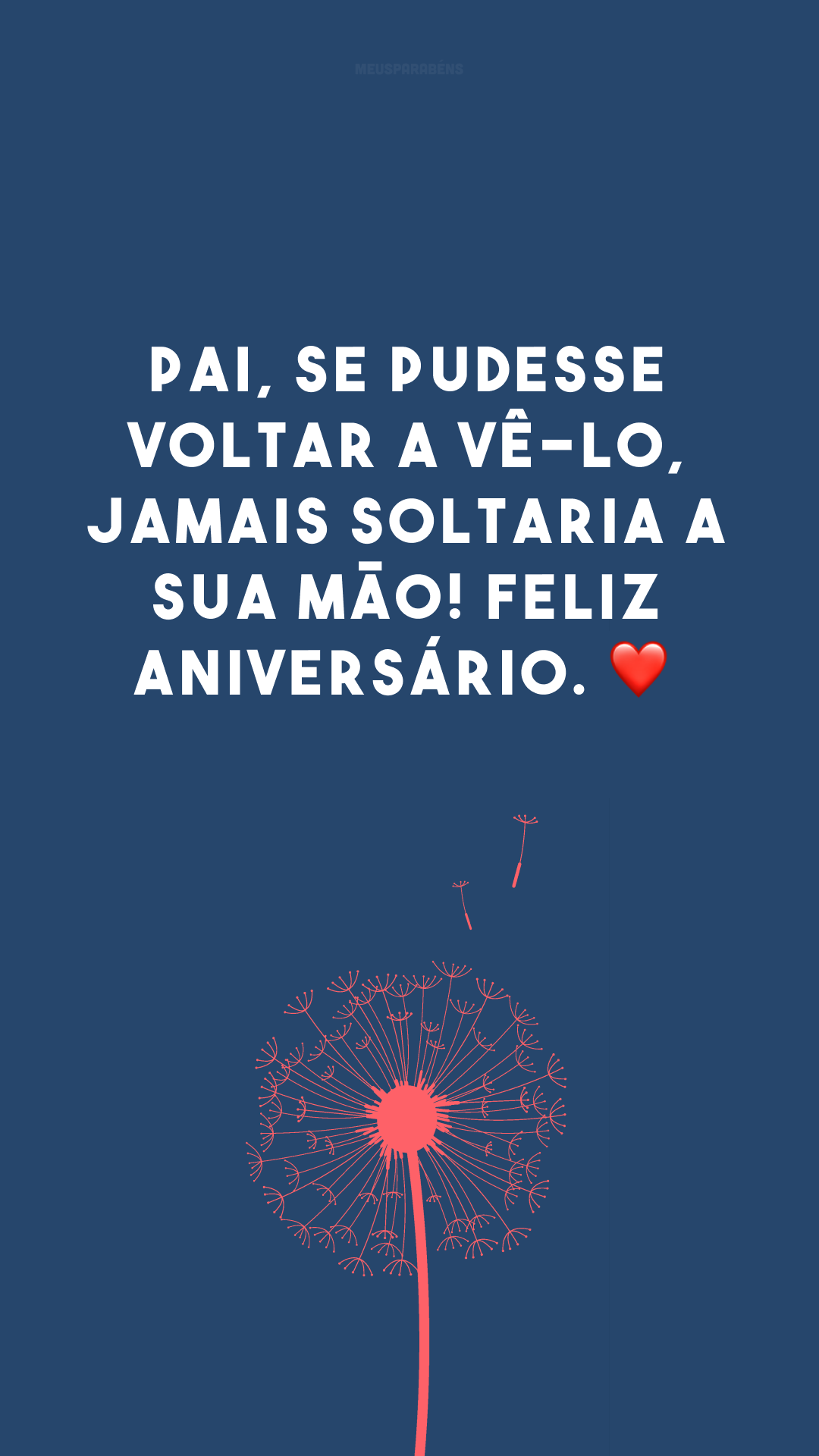 Pai, se pudesse voltar a vê-lo, jamais soltaria a sua mão! Feliz aniversário. ❤
