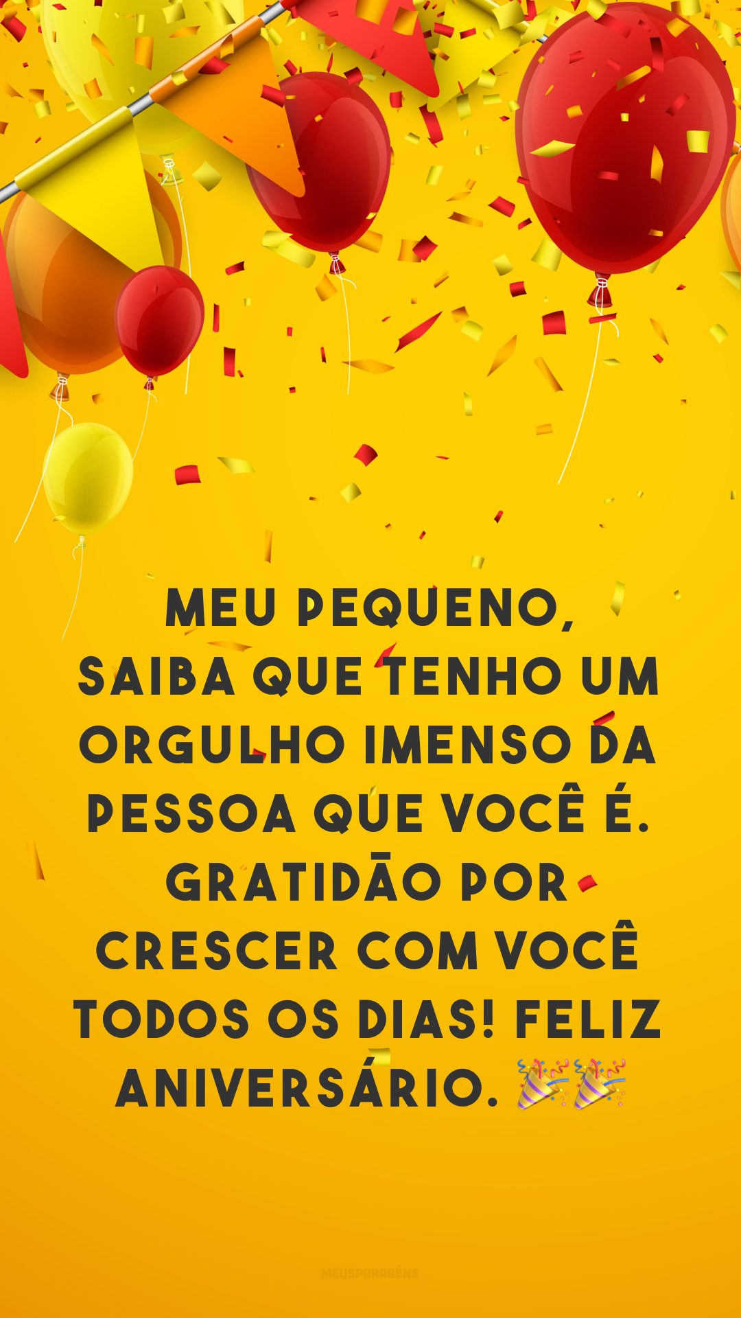 Meu pequeno, saiba que tenho um orgulho imenso da pessoa que você é. Gratidão por crescer com você todos os dias! Feliz aniversário. 🎉🎉