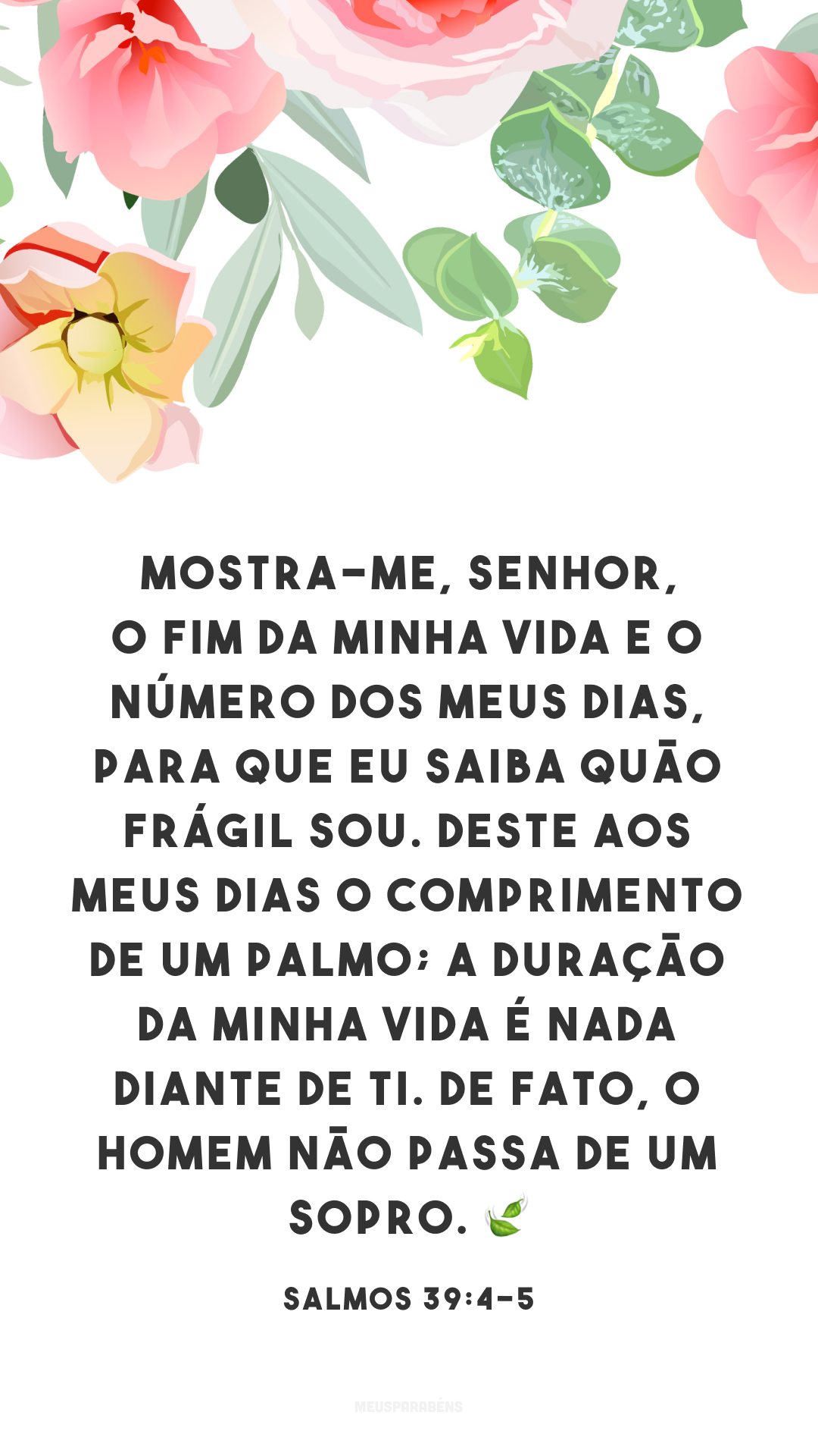 Mostra-me, Senhor, o fim da minha vida e o número dos meus dias, para que eu saiba quão frágil sou. Deste aos meus dias o comprimento de um palmo; a duração da minha vida é nada diante de ti. De fato, o homem não passa de um sopro. ?