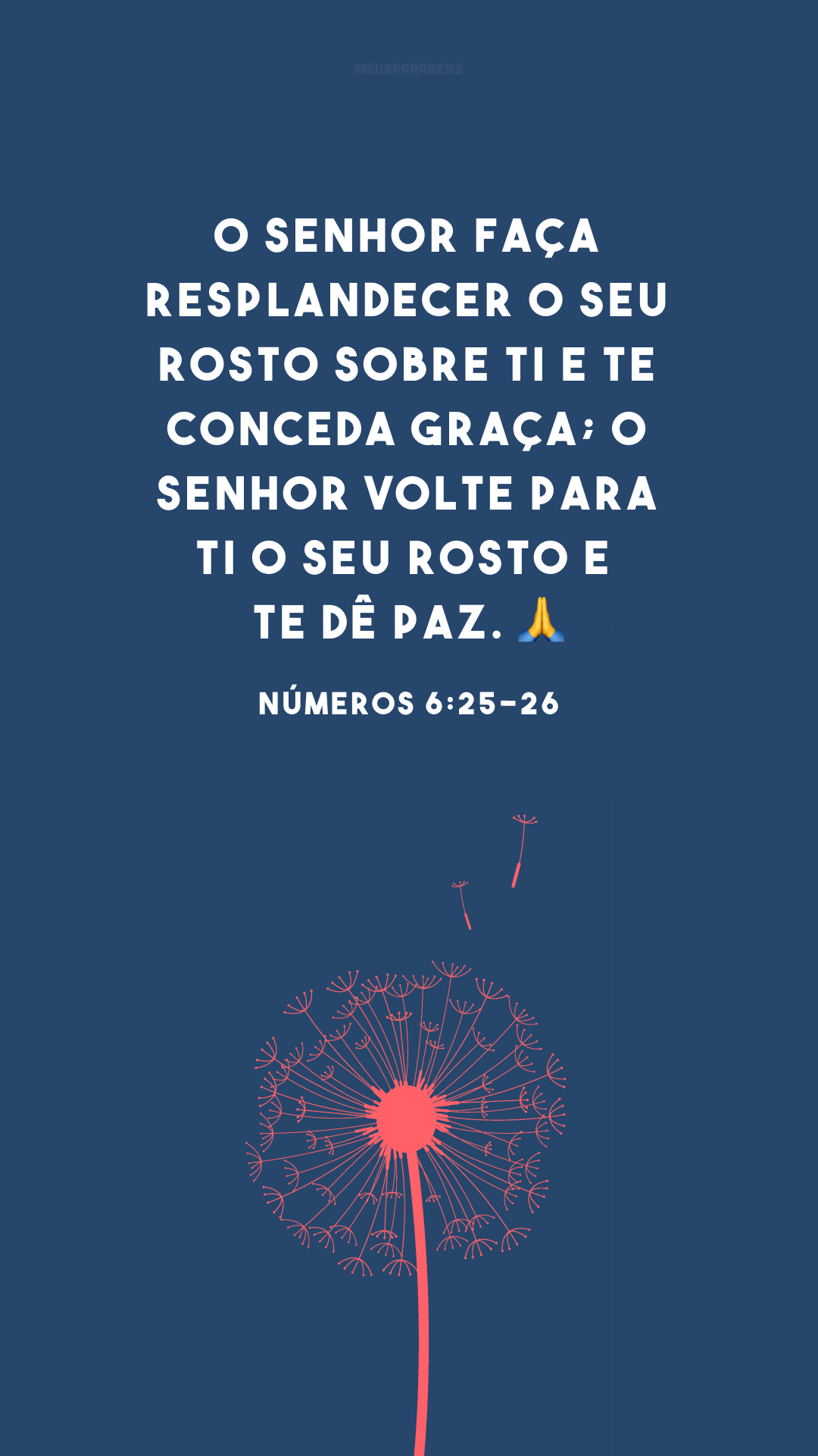 O Senhor faça resplandecer o seu rosto sobre ti e te conceda graça; o Senhor volte para ti o seu rosto e te dê paz. ?