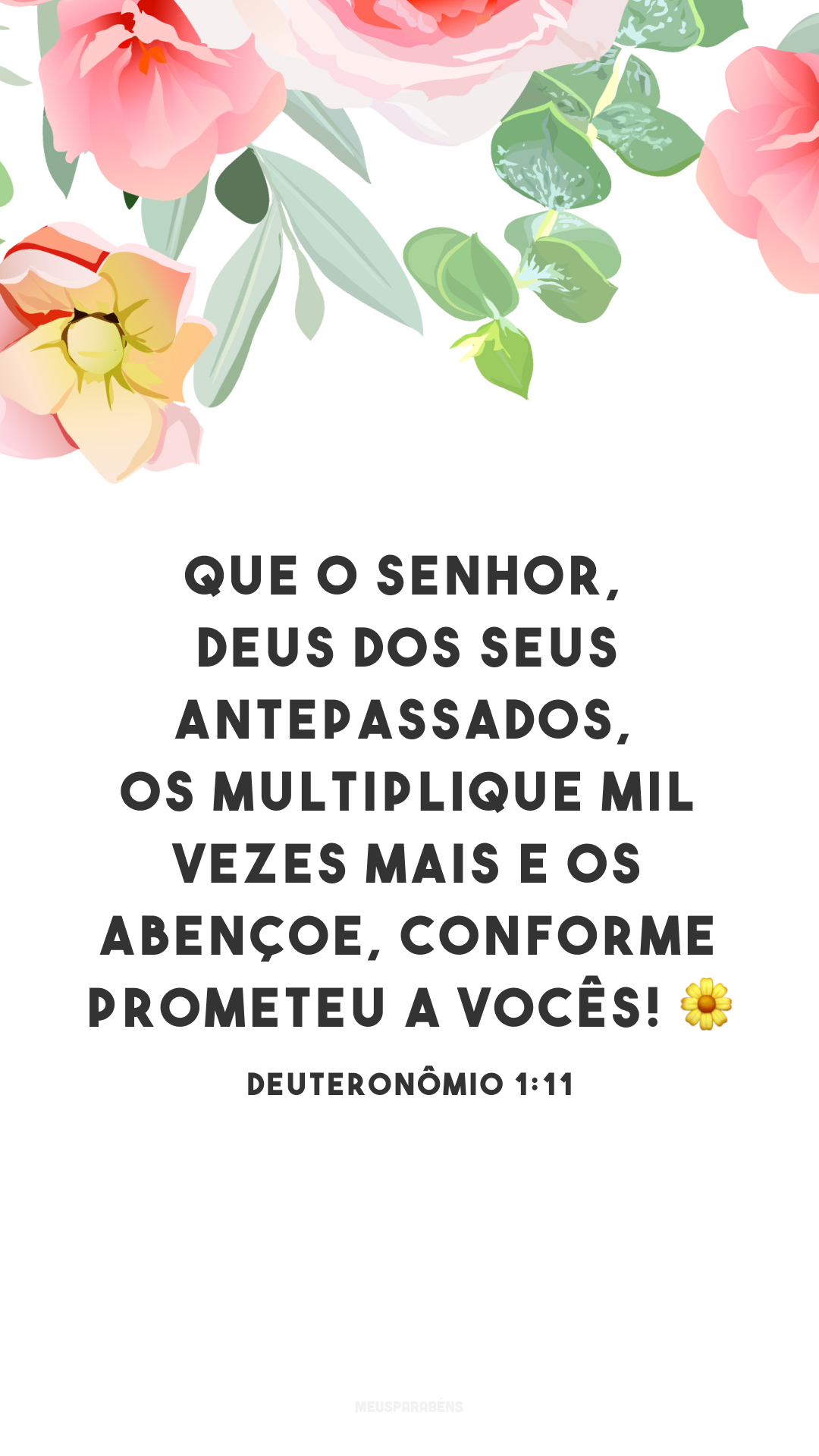 Que o Senhor, Deus dos seus antepassados, os multiplique mil vezes mais e os abençoe, conforme prometeu a vocês! ?