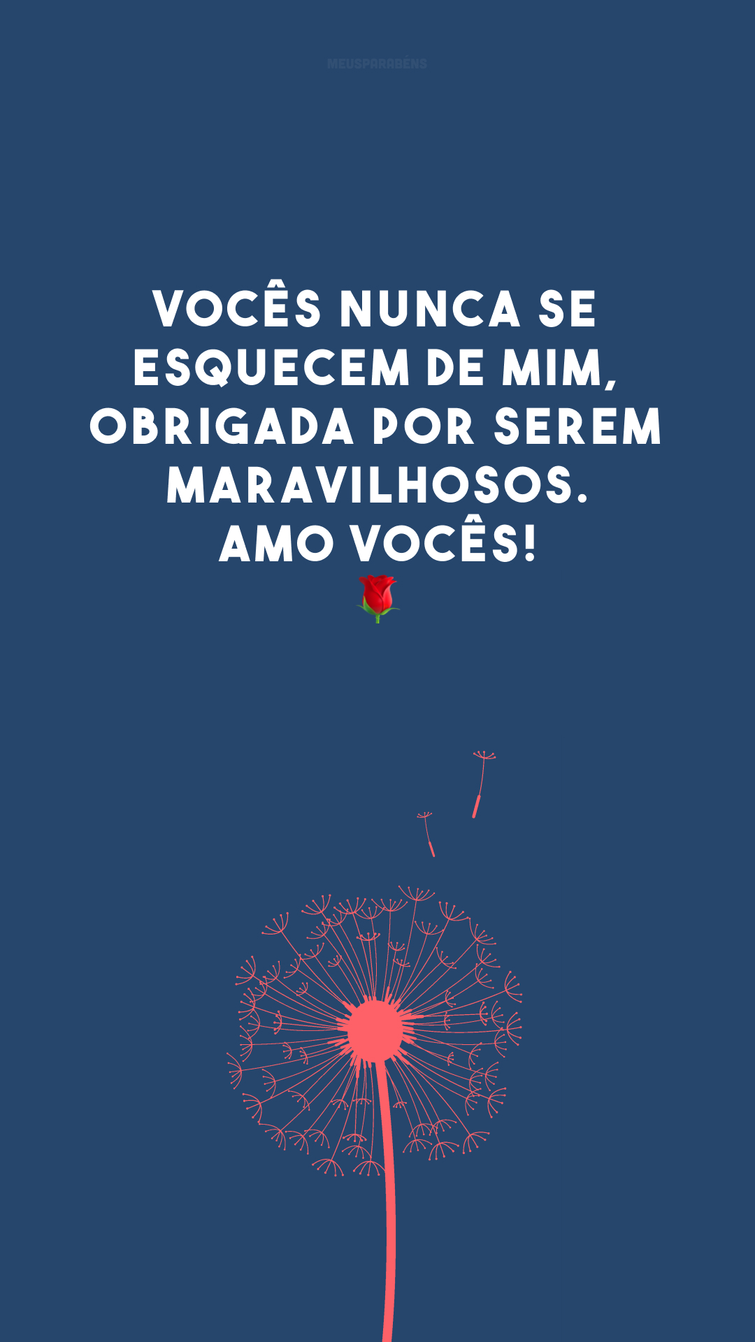 Vocês nunca se esquecem de mim, obrigada por serem maravilhosos. Amo vocês! 🌹