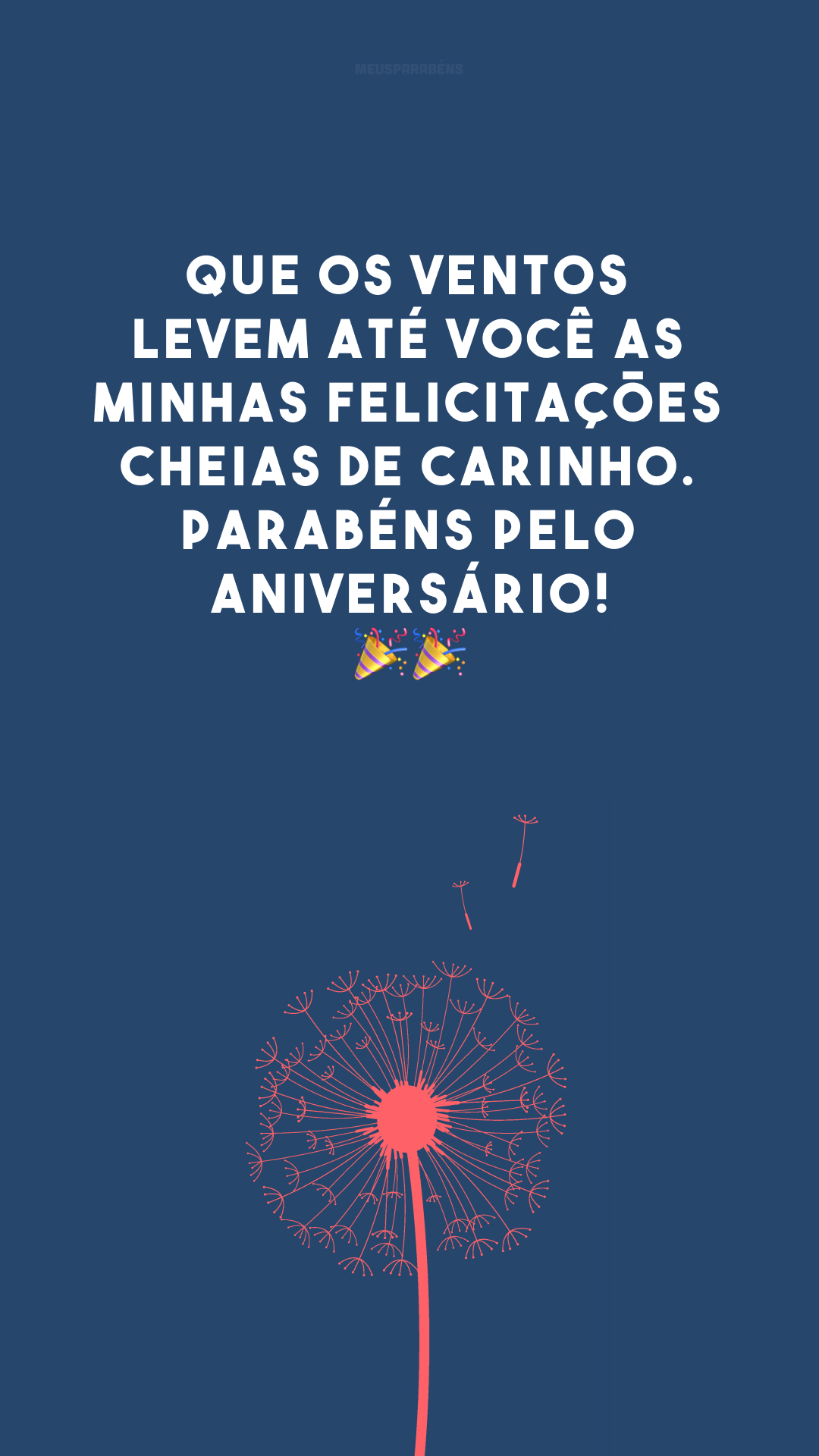 Que os ventos levem até você as minhas felicitações cheias de carinho. Parabéns pelo aniversário! 🎉 🎉