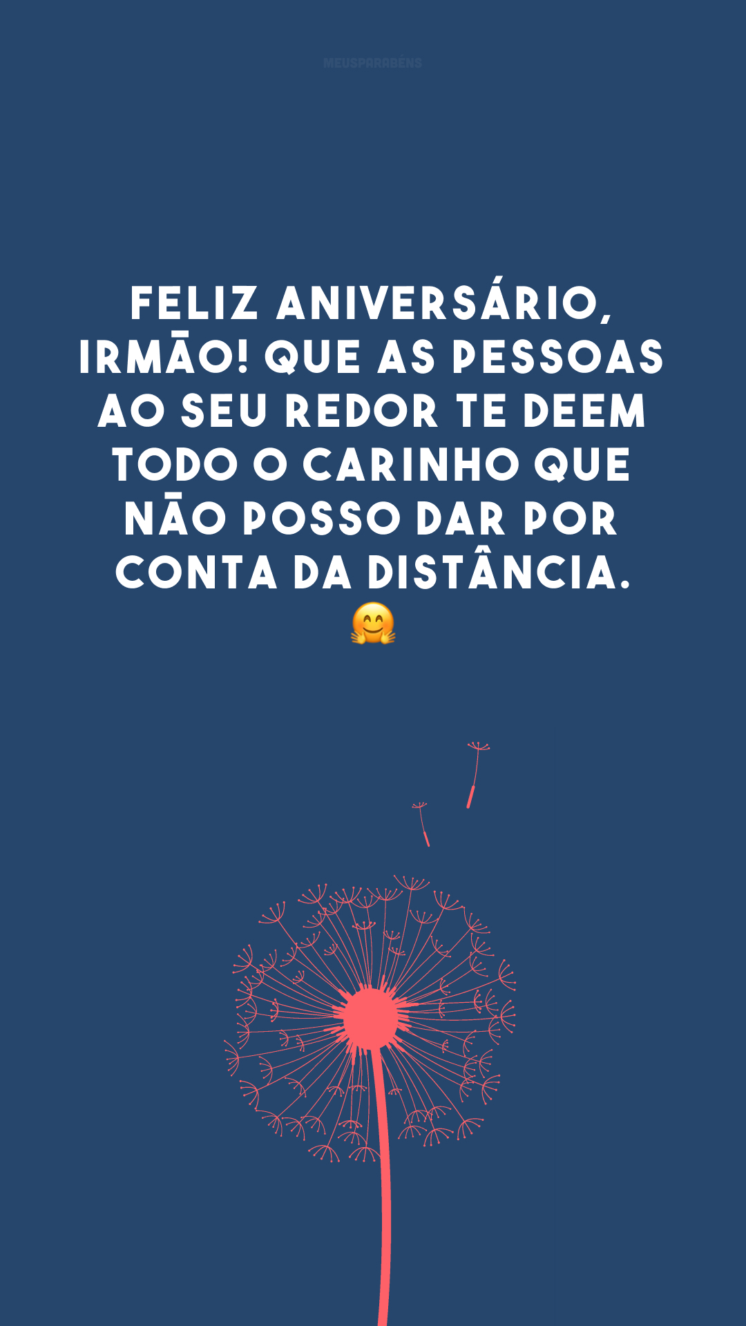 Feliz aniversário, irmão! Que as pessoas ao seu redor te deem todo o carinho que não posso dar por conta da distância. 🤗