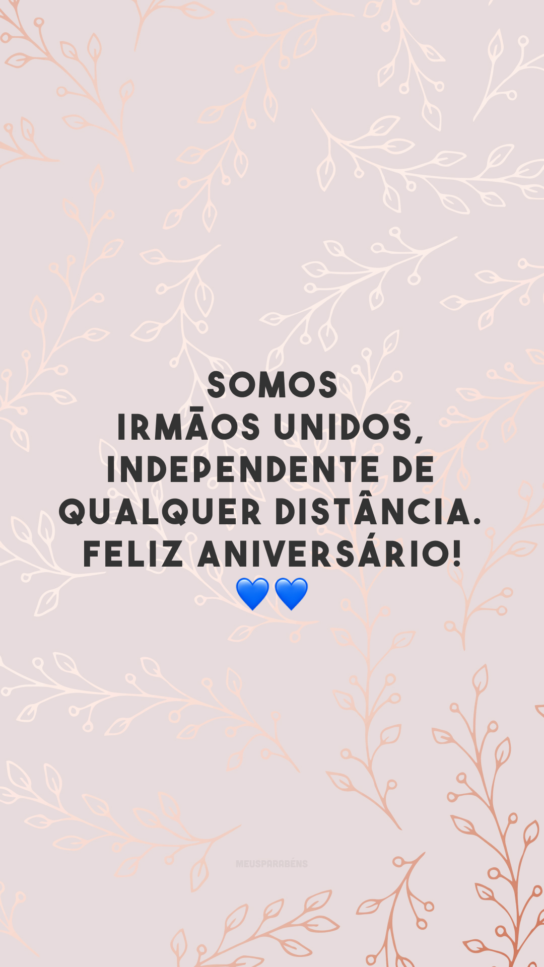 Somos irmãos unidos, independente de qualquer distância. Feliz aniversário! 💙💙