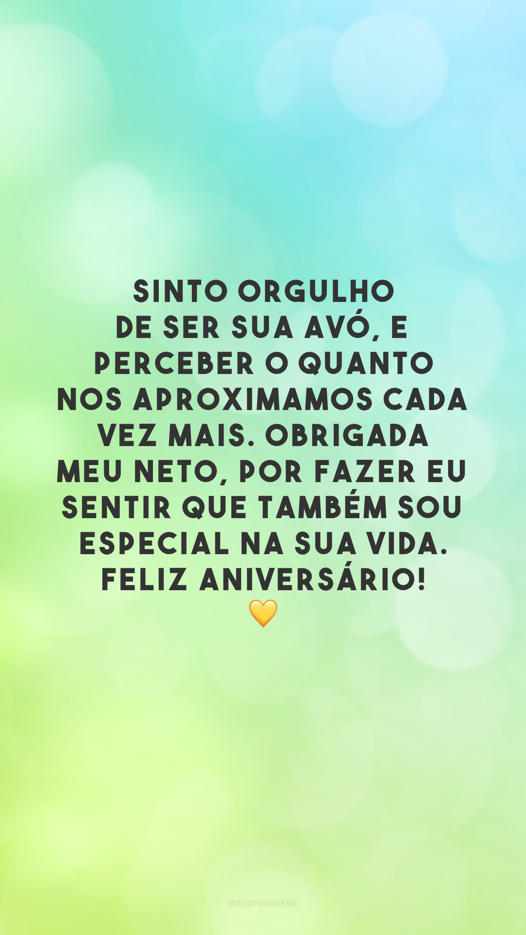 Sinto orgulho de ser sua avó, e perceber o quanto nos aproximamos cada vez mais. Obrigada meu neto, por fazer eu sentir que também sou especial na sua vida. Feliz aniversário! 💛