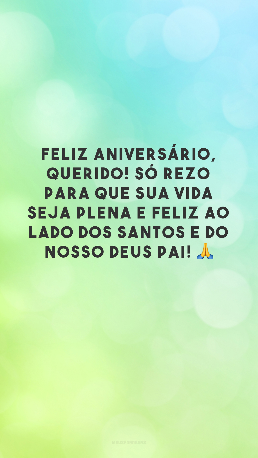 Feliz aniversário, querido! Só rezo para que sua vida seja plena e feliz ao lado dos Santos e do nosso Deus Pai! 🙏