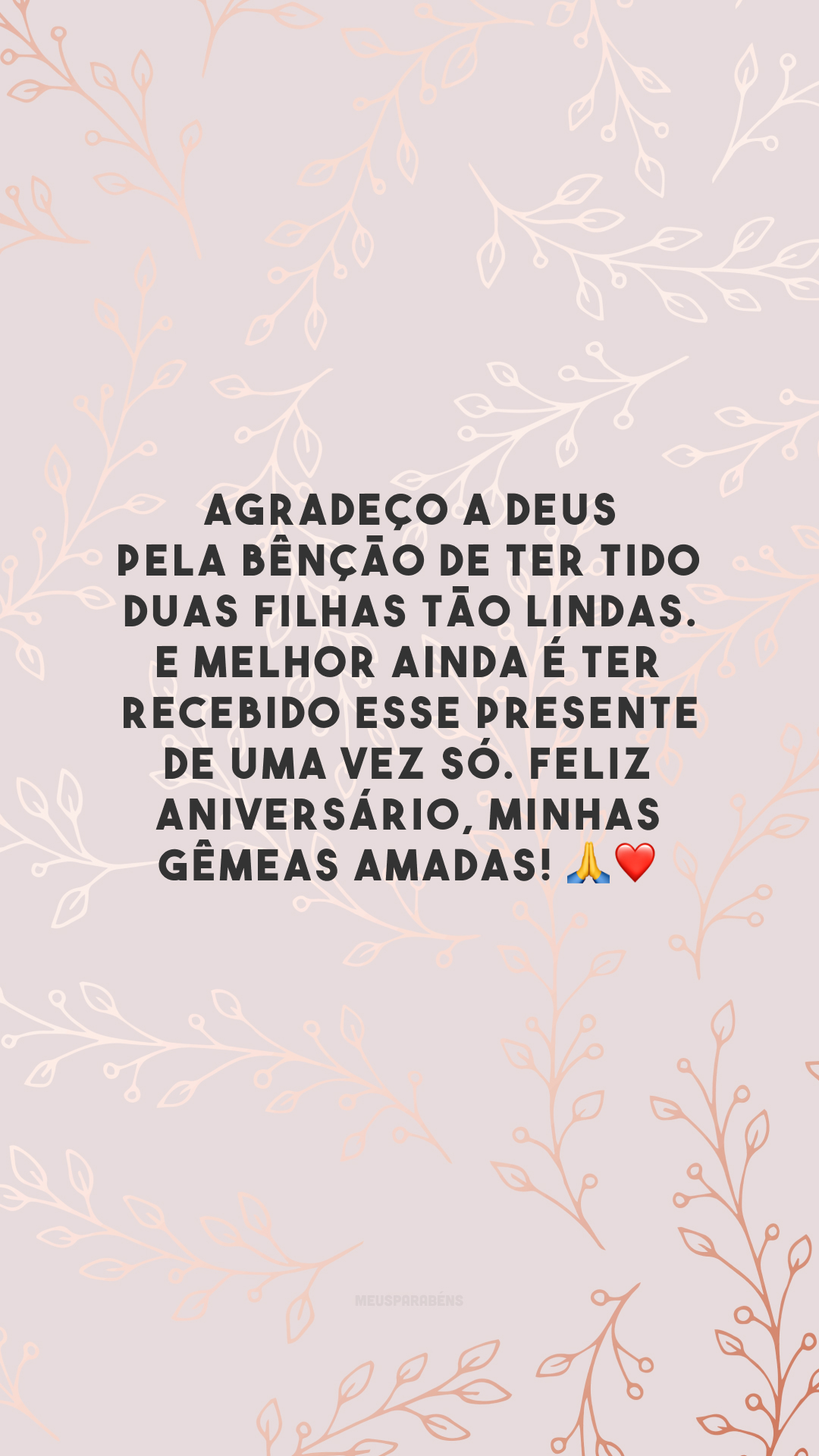 Agradeço a Deus pela bênção de ter tido duas filhas tão lindas. E melhor ainda é ter recebido esse presente de uma vez só. Feliz aniversário, minhas gêmeas amadas! 🙏❤️