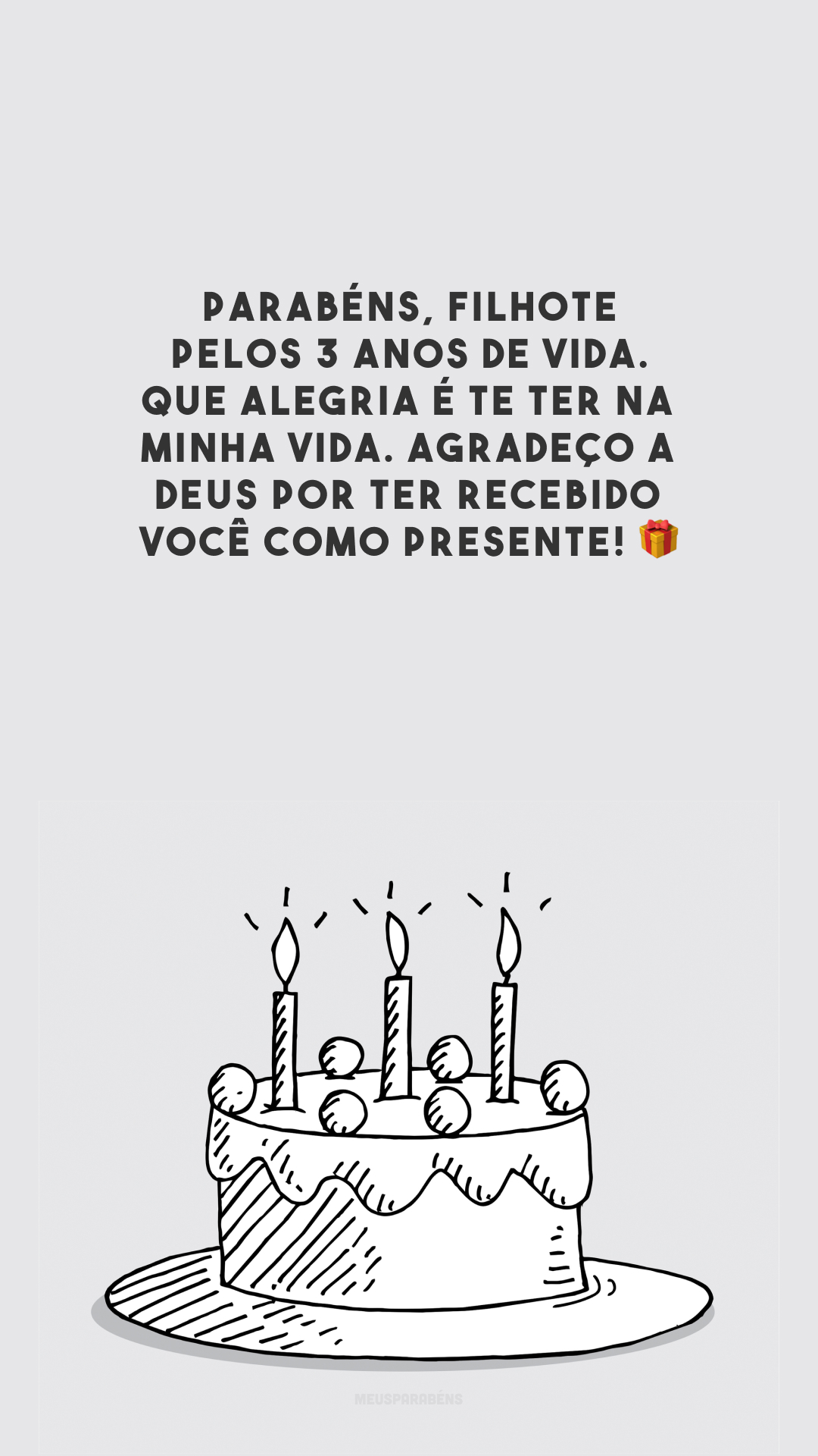 Parabéns, filhote pelos 3 anos de vida. Que alegria é te ter na minha vida. Agradeço a Deus por ter recebido você como presente! 🎁