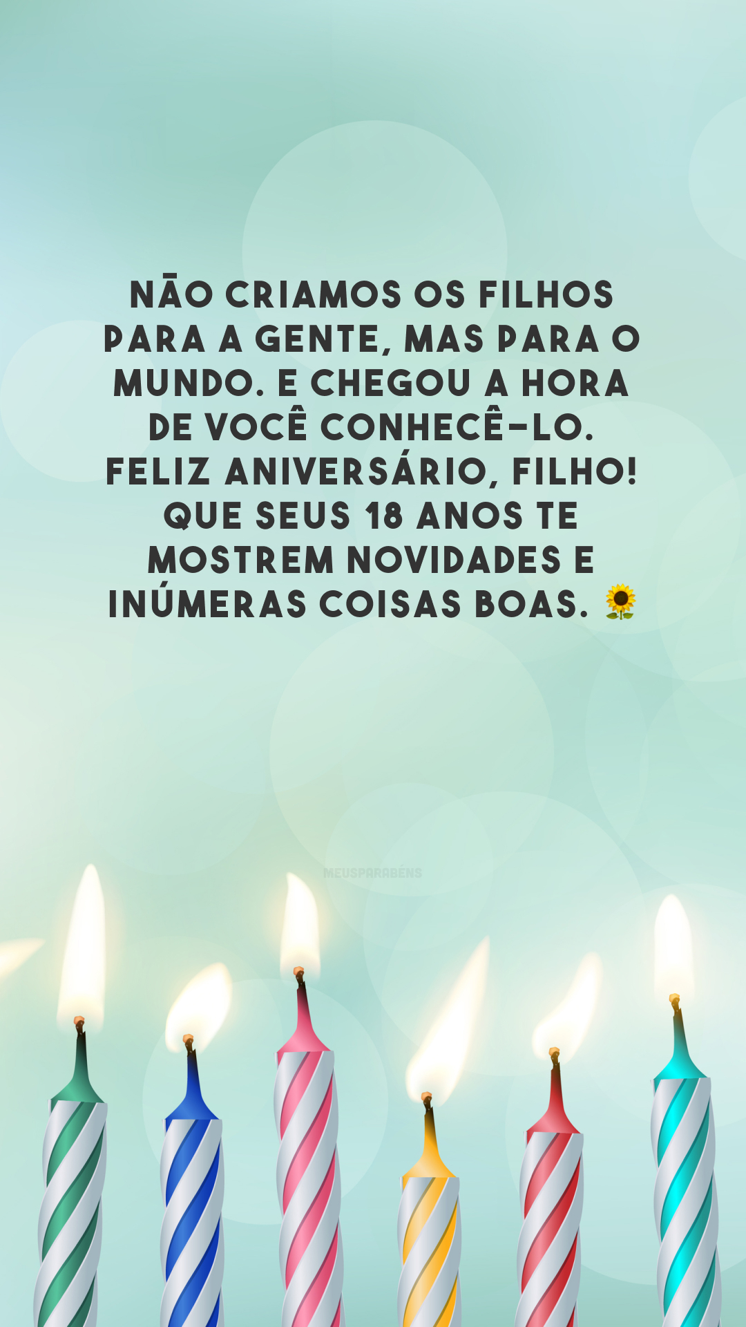 Não criamos os filhos para a gente, mas para o mundo. E chegou a hora de você conhecê-lo. Feliz aniversário, filho! Que seus 18 anos te mostrem novidades e inúmeras coisas boas. 🌻