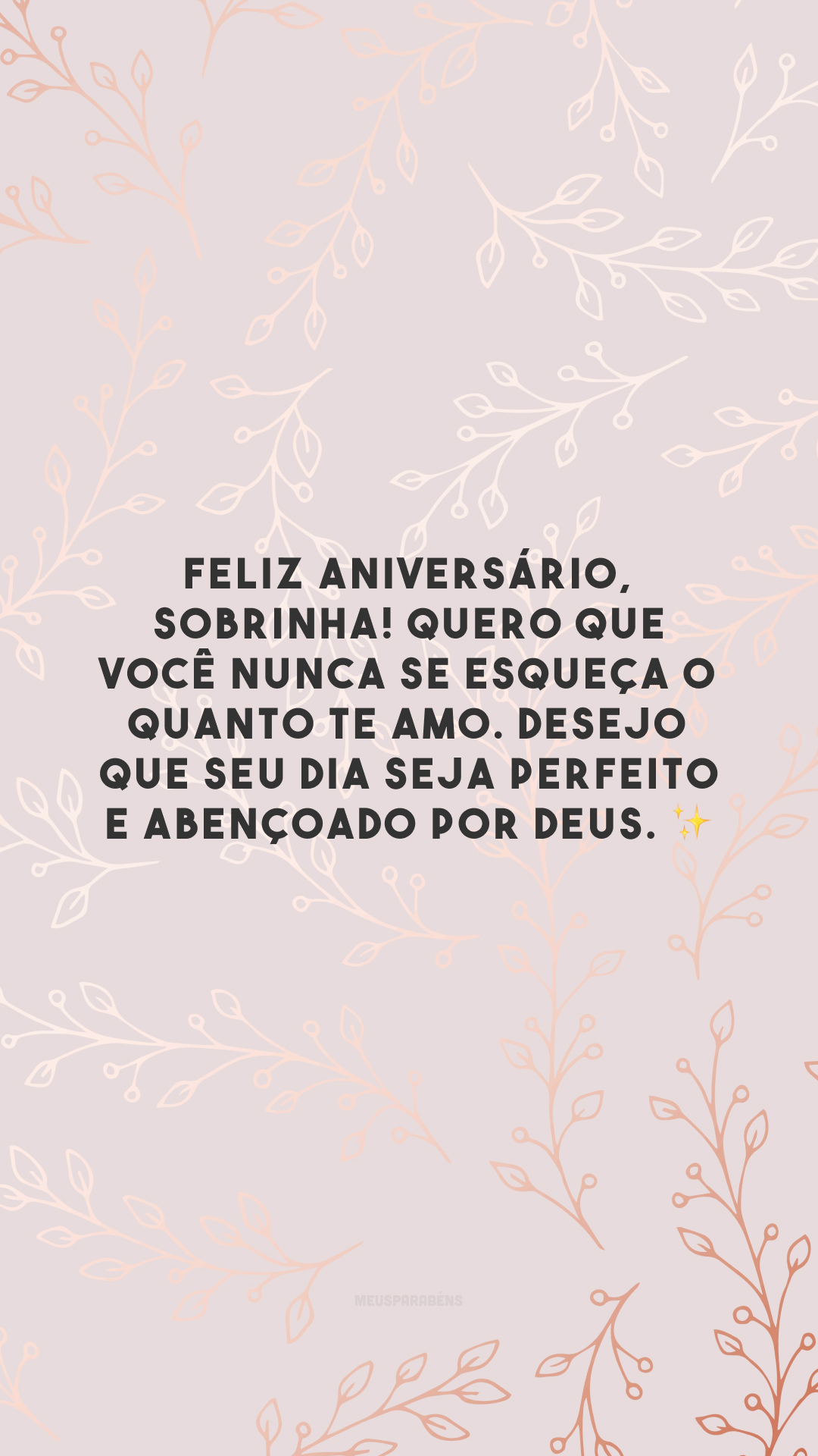 Feliz aniversário, sobrinha! Quero que você nunca se esqueça o quanto te amo. Desejo que seu dia seja perfeito e abençoado por Deus. ✨