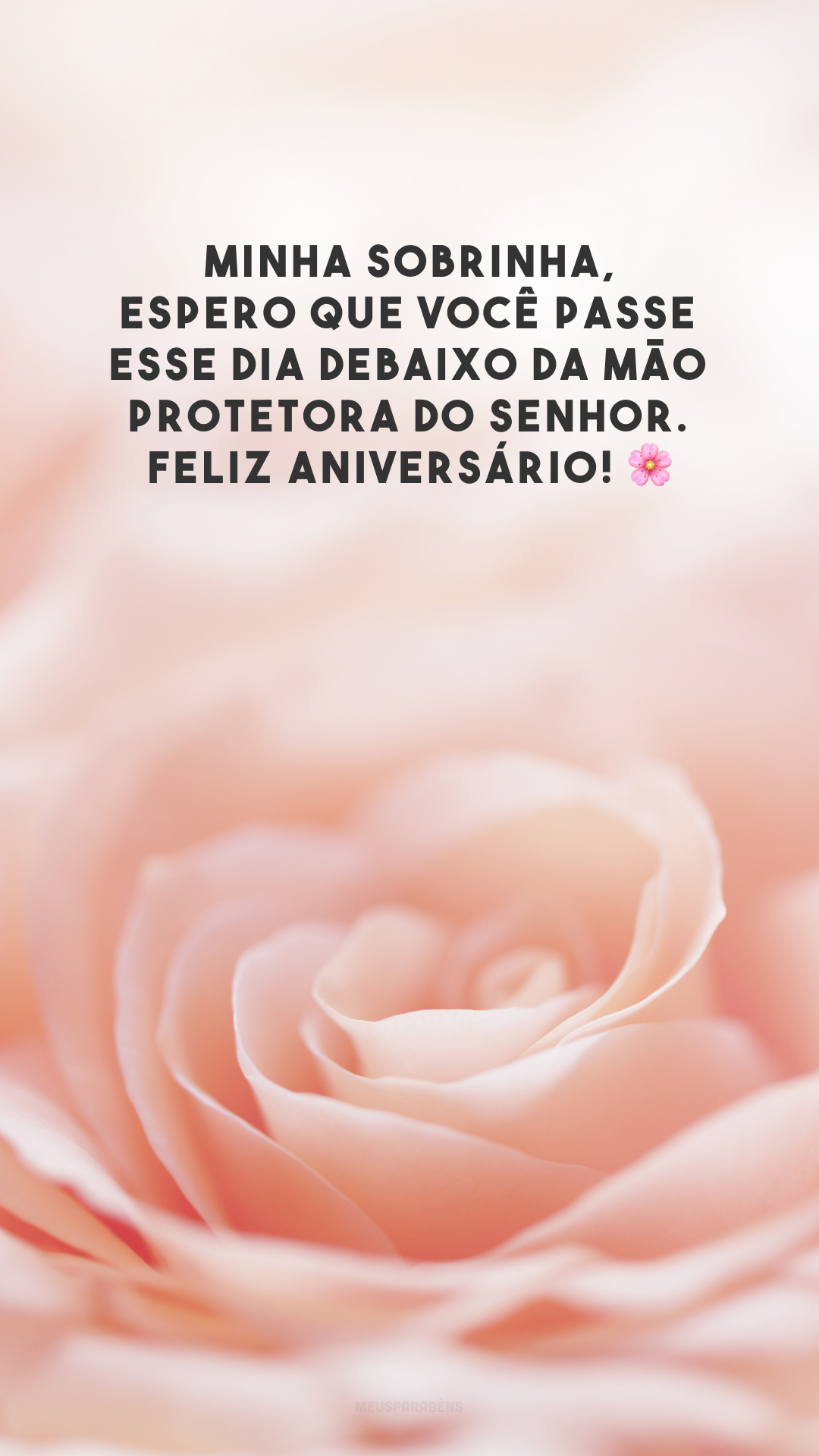 Minha sobrinha, espero que você passe esse dia debaixo da mão protetora do Senhor. Feliz aniversário! 🌸