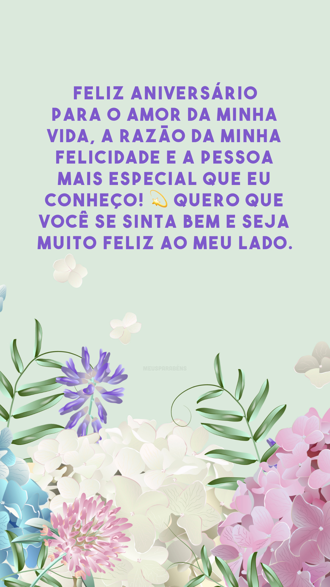 Feliz aniversário para o amor da minha vida, a razão da minha felicidade e a pessoa mais especial que eu conheço! 💫 Quero que você se sinta bem e seja muito feliz ao meu lado.