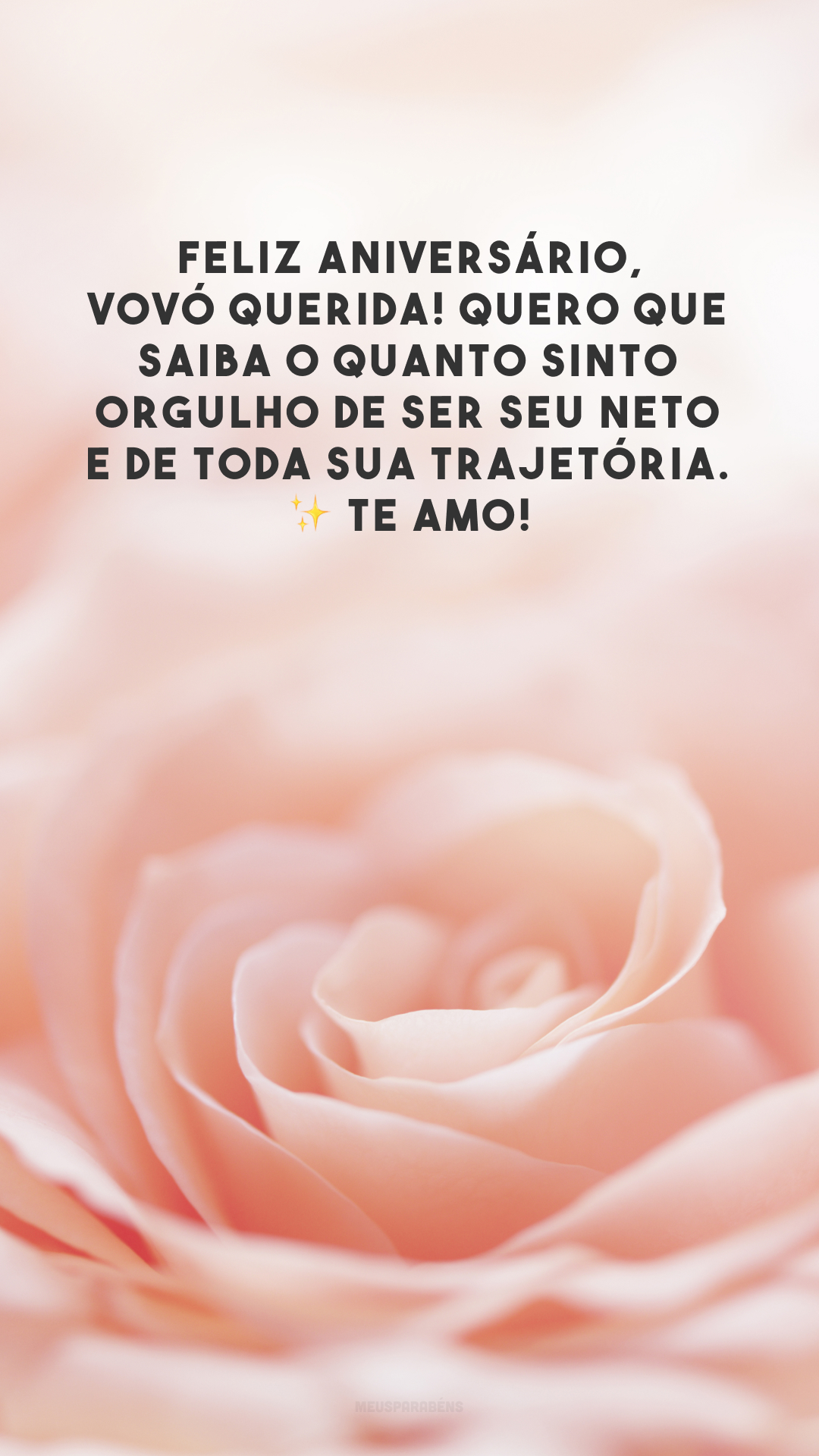 Feliz aniversário, vovó querida! Quero que saiba o quanto sinto orgulho de ser seu neto e de toda sua trajetória. ✨ Te amo!