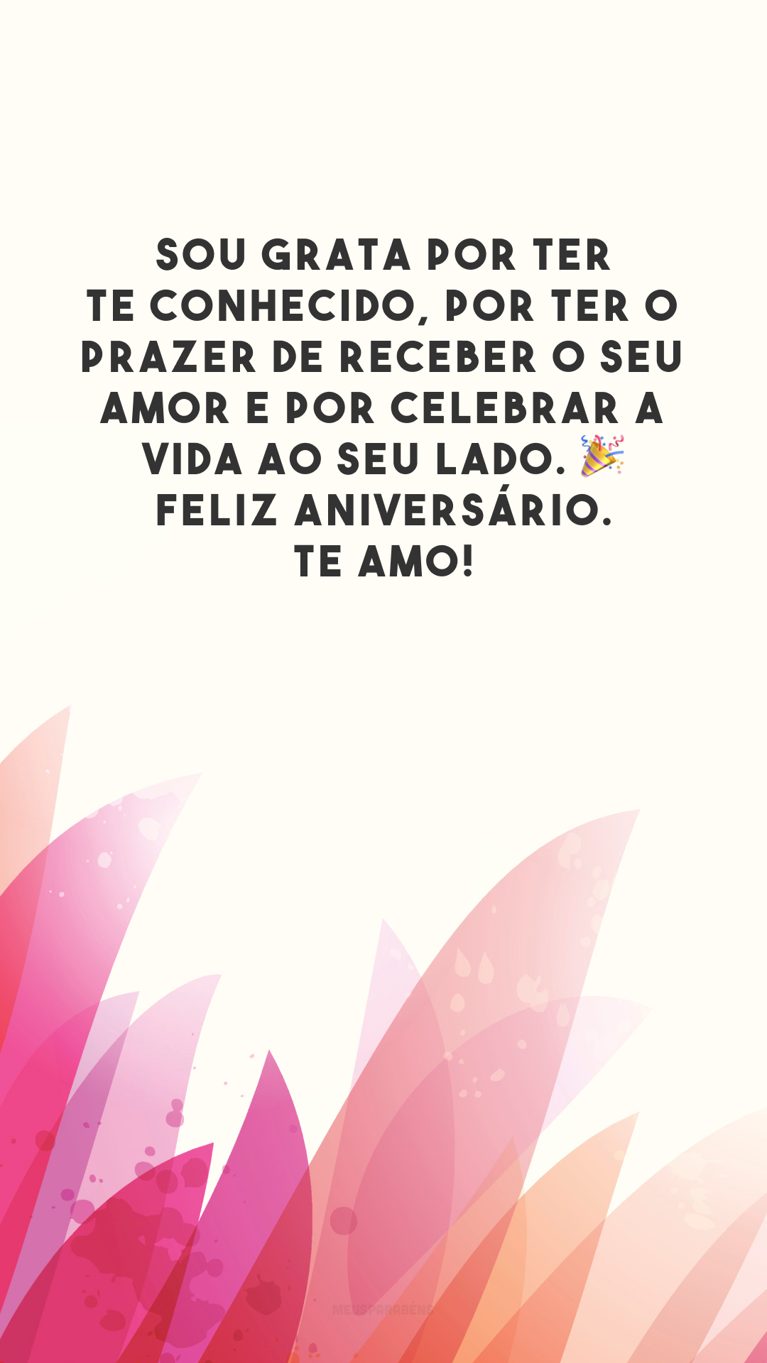 Sou grata por ter te conhecido, por ter o prazer de receber o seu amor e por celebrar a vida ao seu lado. 🎉 Feliz aniversário. Te amo!