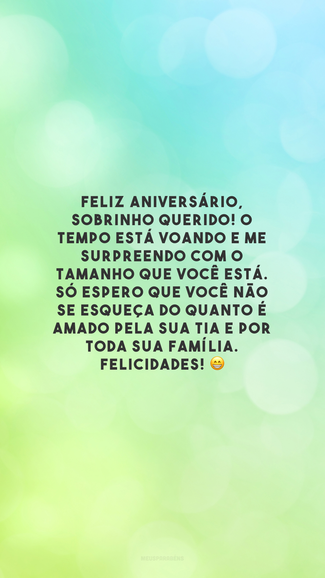 Feliz aniversário, sobrinho querido! O tempo está voando e me surpreendo com o tamanho que você está. Só espero que você não se esqueça do quanto é amado pela sua tia e por toda sua família. Felicidades! 😁