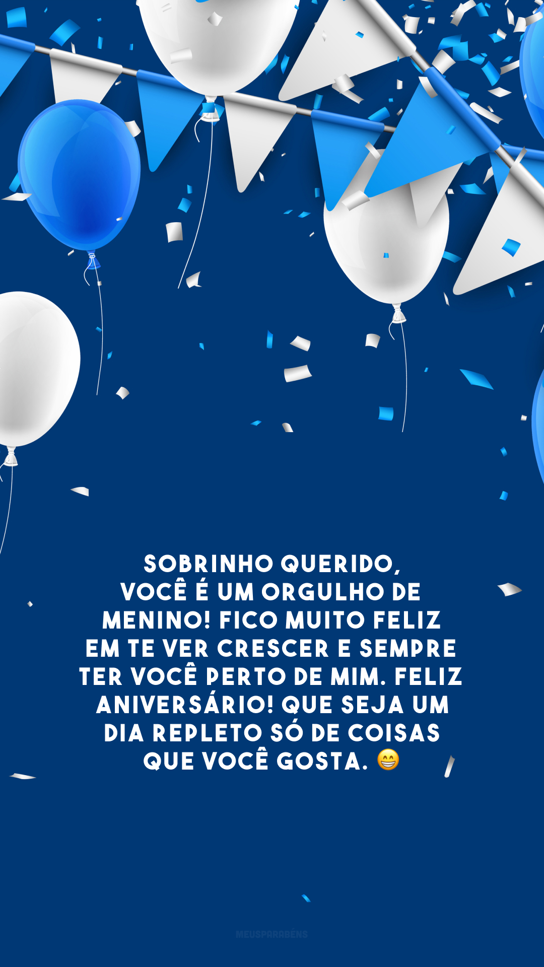 Sobrinho querido, você é um orgulho de menino! Fico muito feliz em te ver crescer e sempre ter você perto de mim. Feliz aniversário! Que seja um dia repleto só de coisas que você gosta. 😁