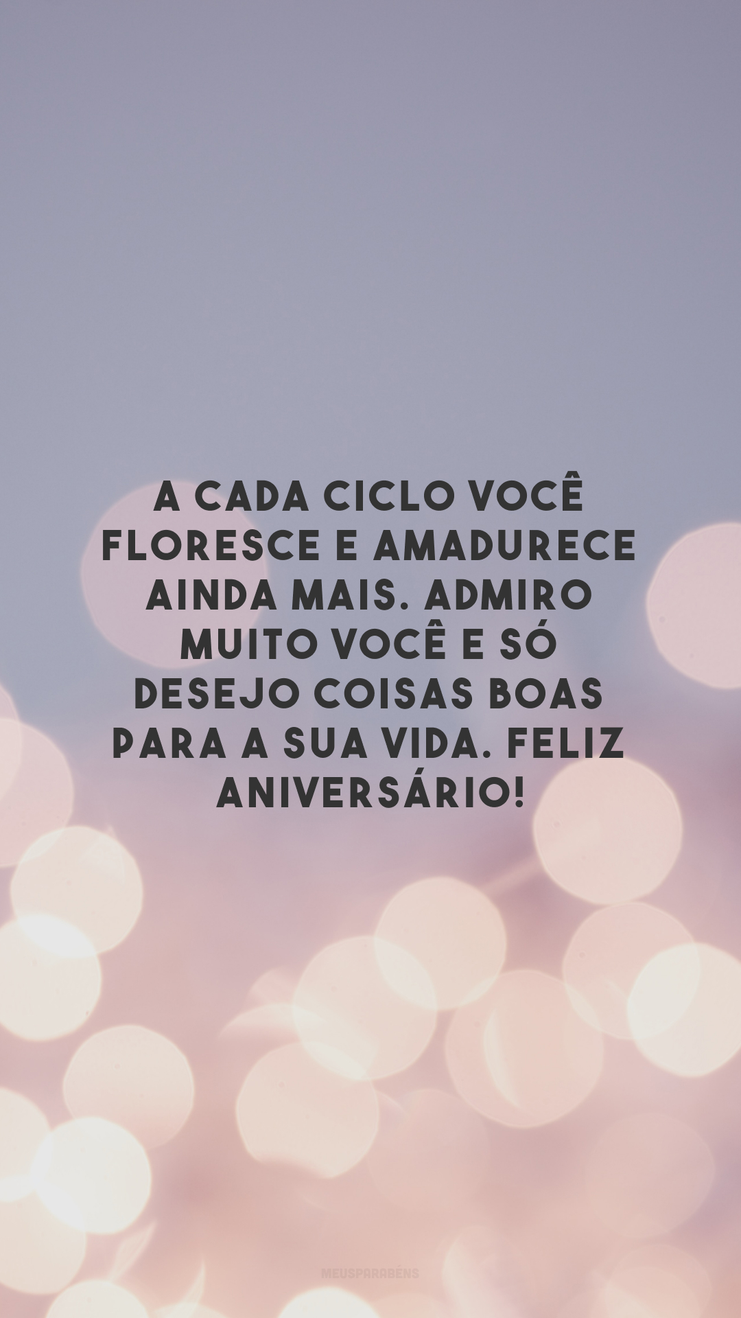 A cada ciclo você floresce e amadurece ainda mais. Admiro muito você e só desejo coisas boas para a sua vida. Feliz aniversário!