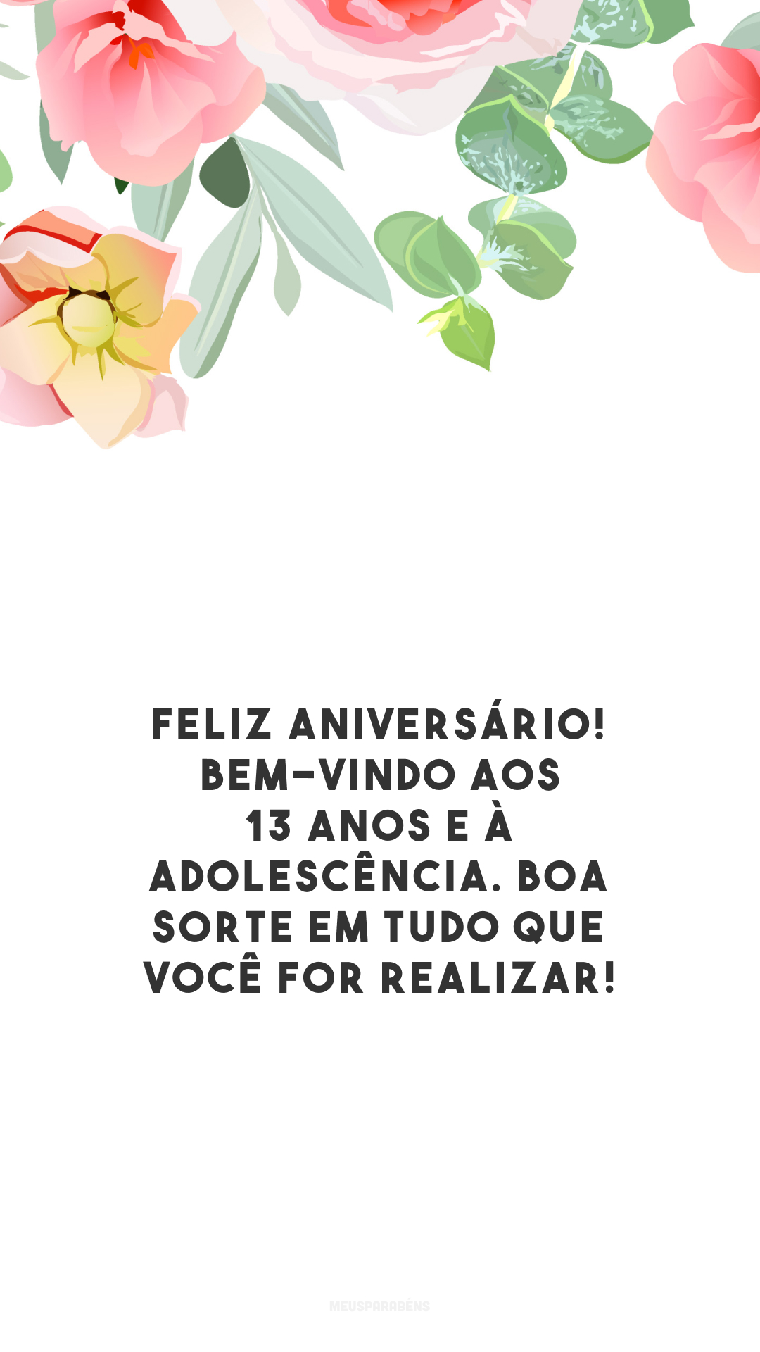 Feliz aniversário! Bem-vindo aos 13 anos e à adolescência. Boa sorte em tudo que você for realizar!