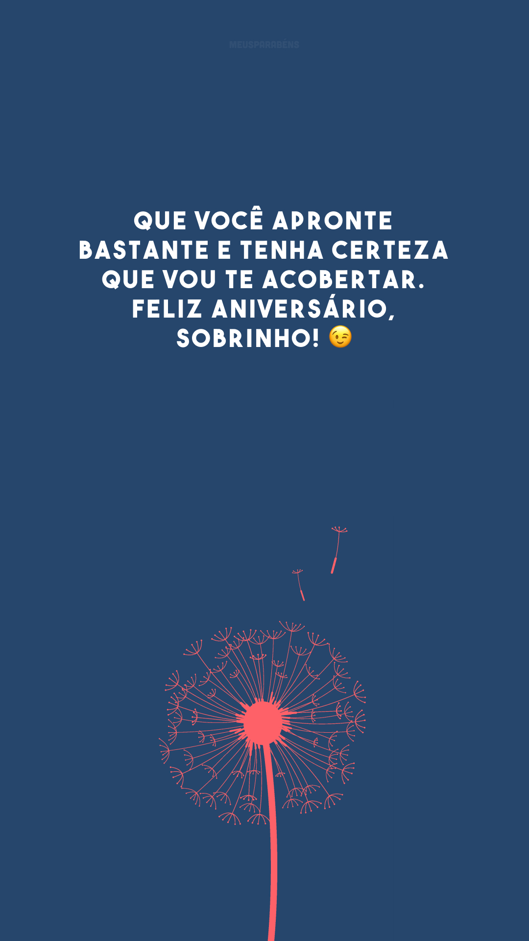 Que você apronte bastante e tenha certeza que vou te acobertar. Feliz aniversário, sobrinho! 😉