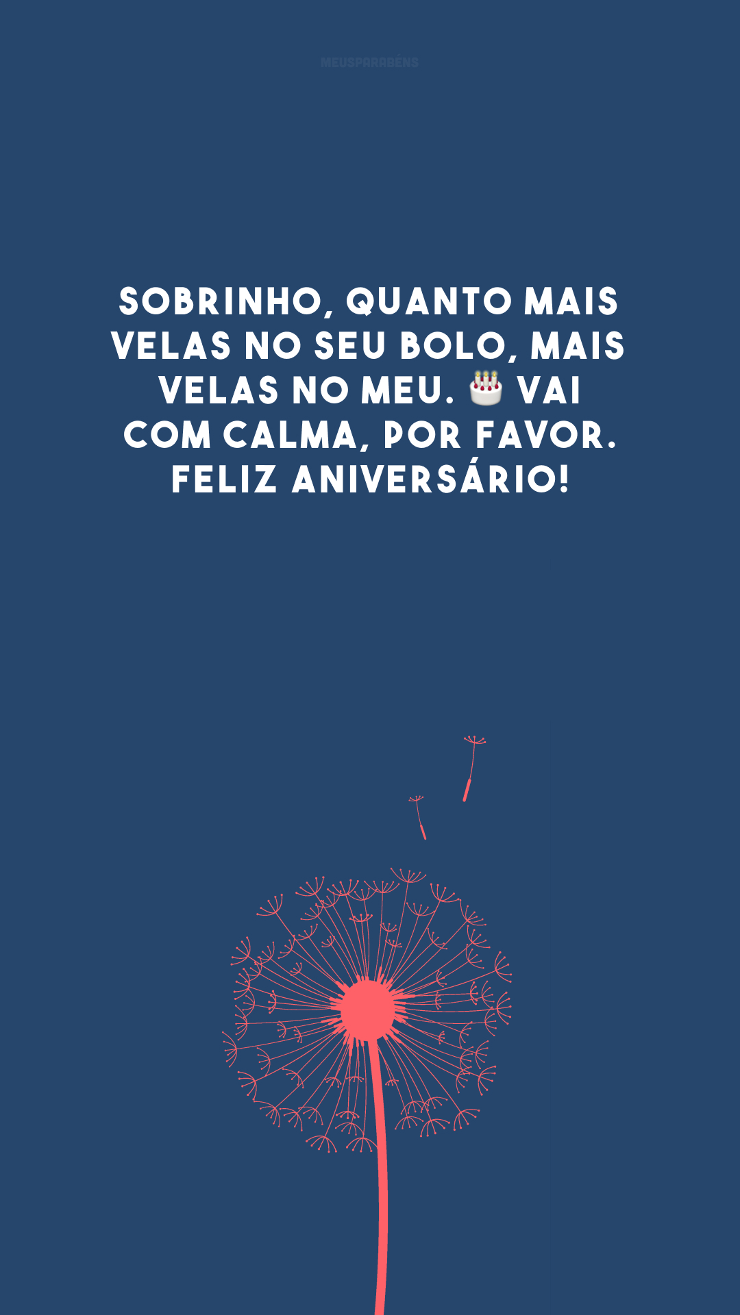 Sobrinho, quanto mais velas no seu bolo, mais velas no meu. 🎂 Vai com calma, por favor. Feliz aniversário!