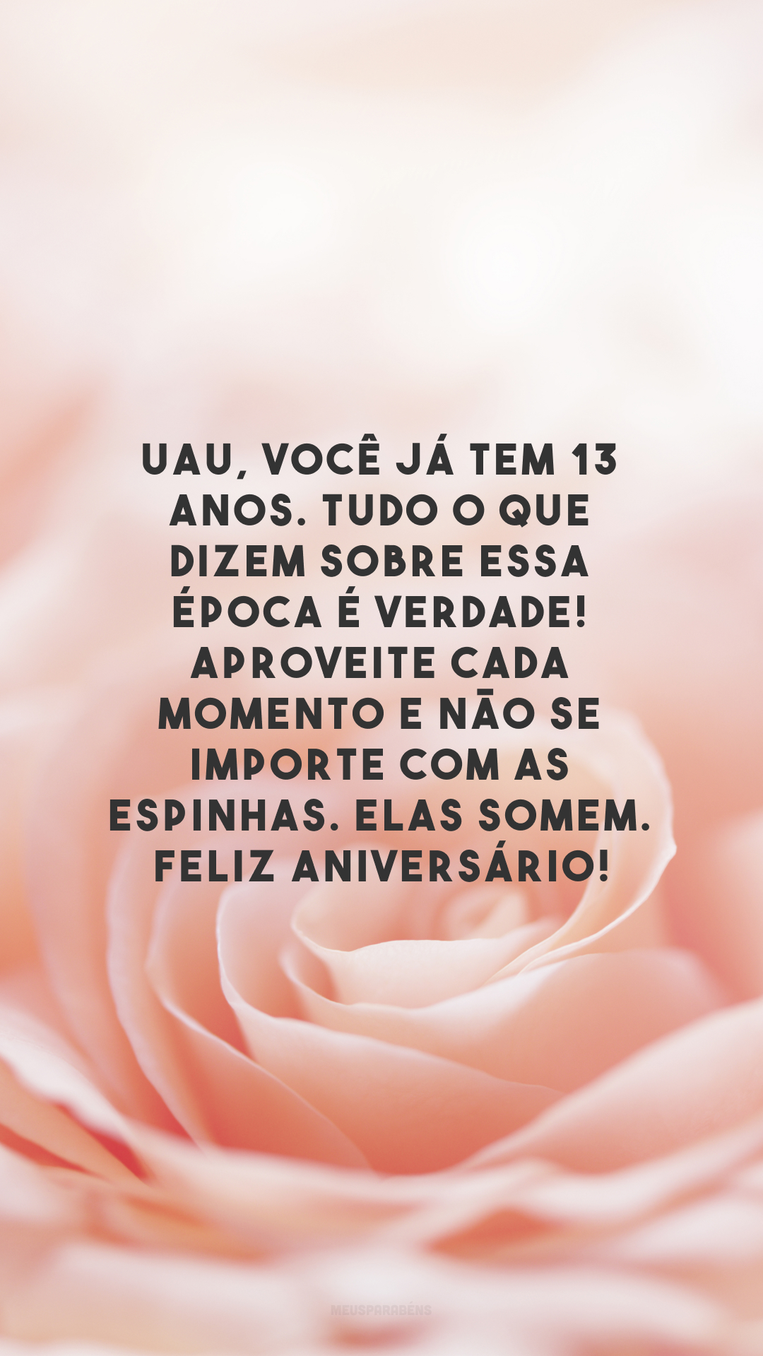 Uau, você já tem 13 anos. Tudo o que dizem sobre essa época é verdade! Aproveite cada momento e não se importe com as espinhas. Elas somem. Feliz aniversário!