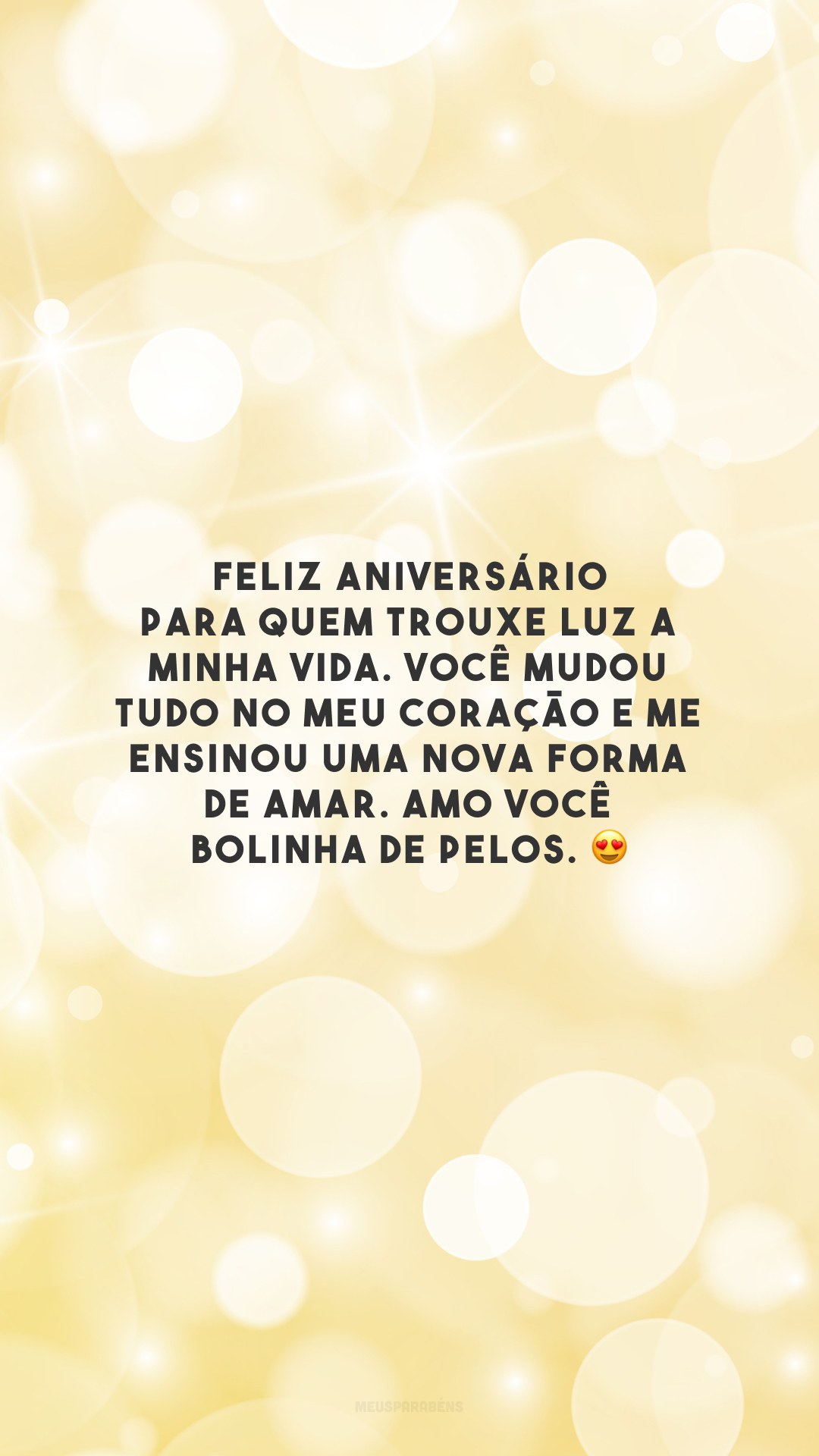 Feliz aniversário para quem trouxe luz a minha vida. Você mudou tudo no meu coração e me ensinou uma nova forma de amar. Amo você bolinha de pelos. 😍