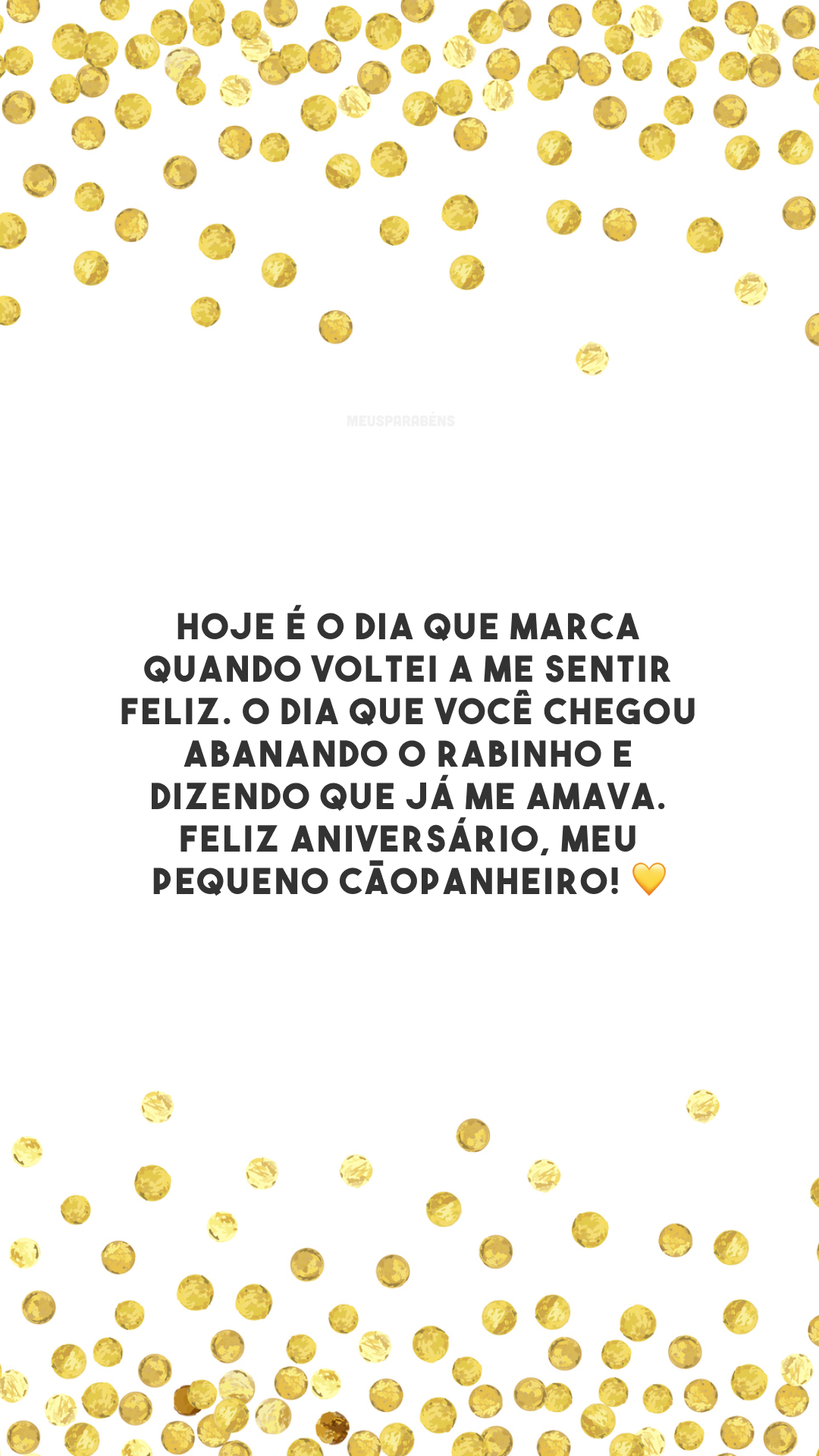 Hoje é o dia que marca quando voltei a me sentir feliz. O dia que você chegou abanando o rabinho e dizendo que já me amava. Feliz aniversário, meu pequeno cãopanheiro! 💛