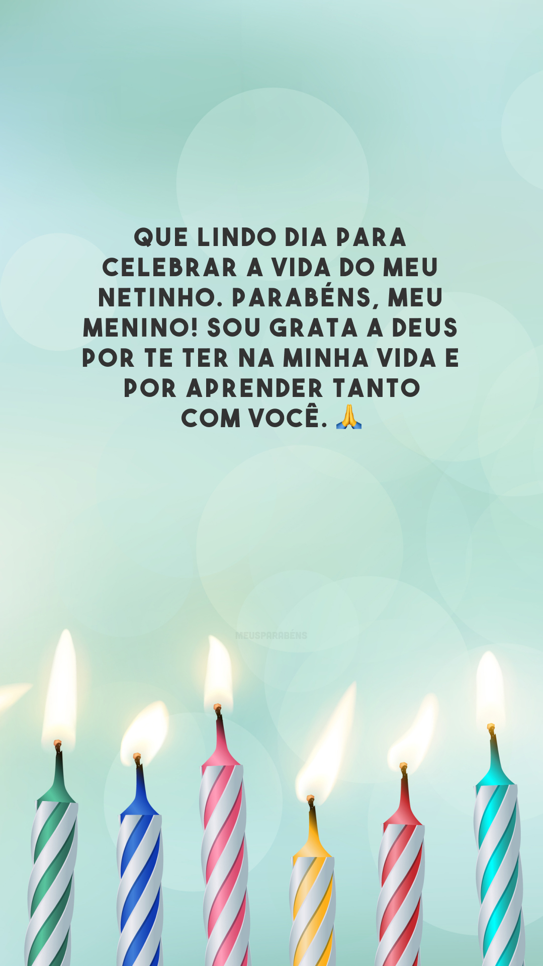 Que lindo dia para celebrar a vida do meu netinho. Parabéns, meu menino! Sou grata a Deus por te ter na minha vida e por aprender tanto com você. 🙏