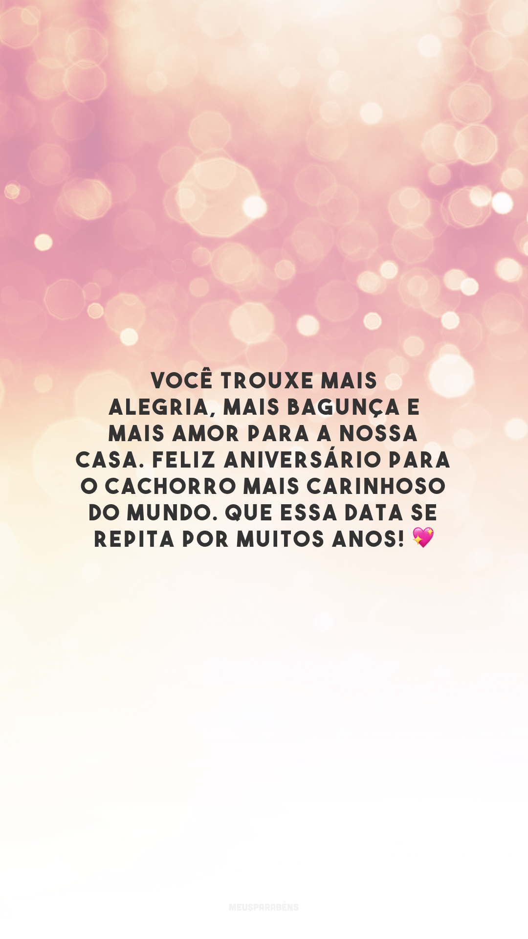 Você trouxe mais alegria, mais bagunça e mais amor para a nossa casa. Feliz aniversário para o cachorro mais carinhoso do mundo. Que essa data se repita por muitos anos! 💖