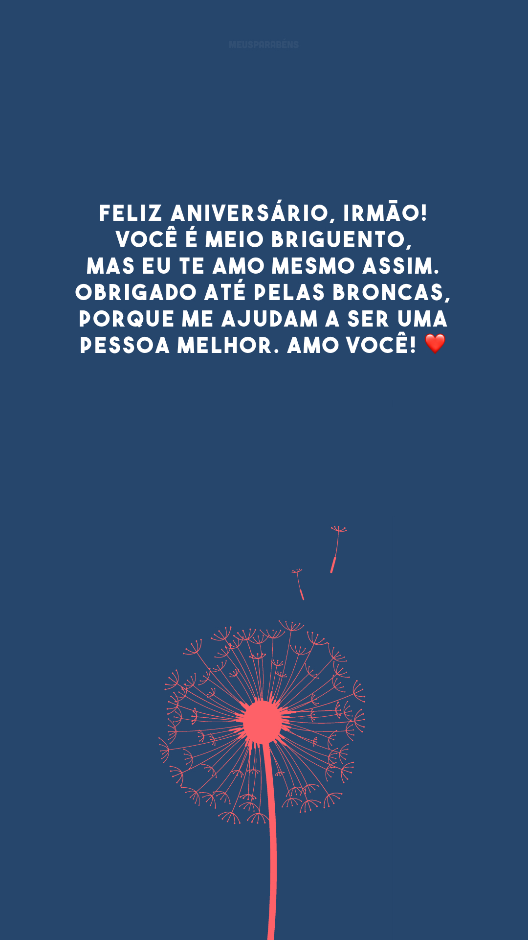 Feliz aniversário, irmão! Você é meio briguento, mas eu te amo mesmo assim. Obrigado até pelas broncas, porque me ajudam a ser uma pessoa melhor. Amo você! ❤️