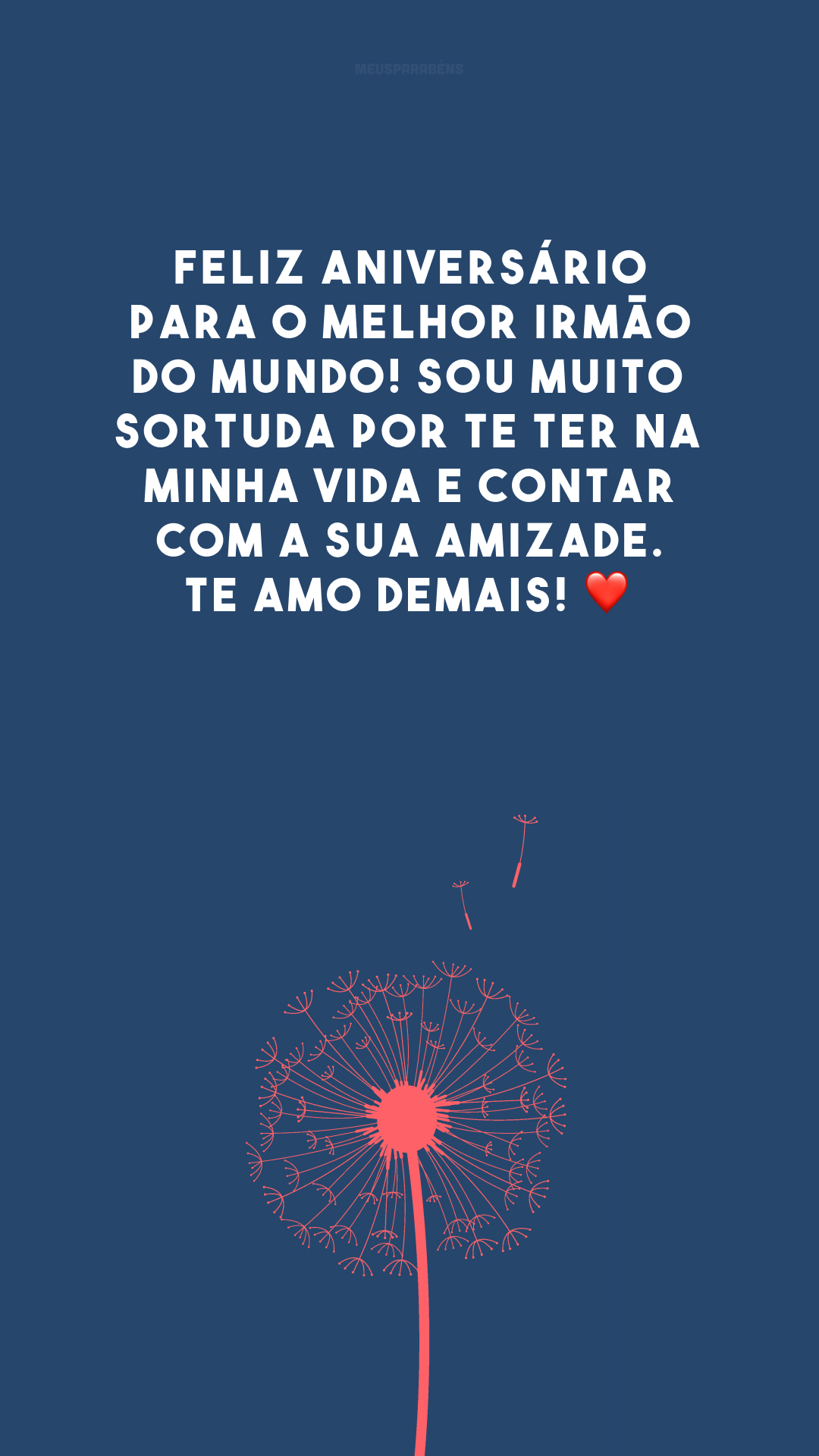 Feliz aniversário para o melhor irmão do mundo! Sou muito sortuda por te ter na minha vida e contar com a sua amizade. Te amo demais! ❤️