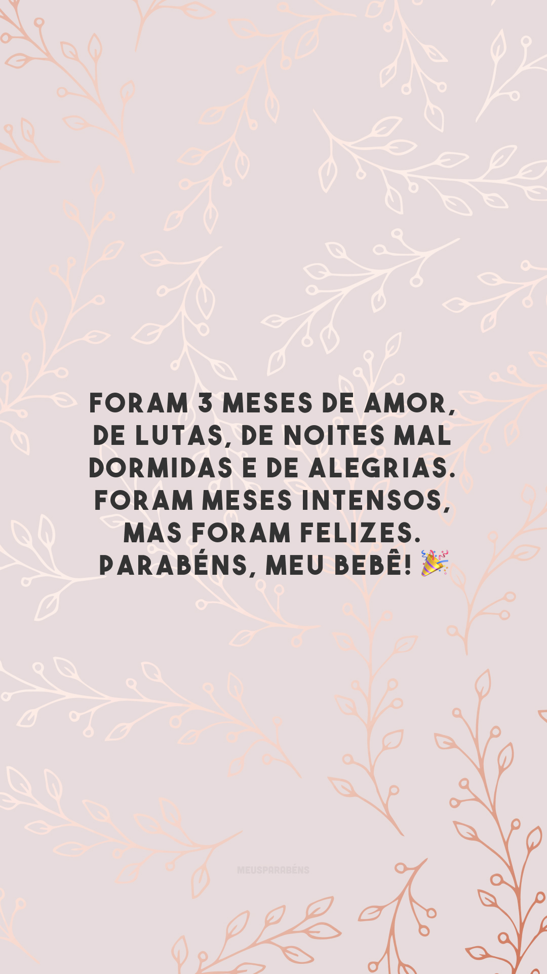 Foram 3 meses de amor, de lutas, de noites mal dormidas e de alegrias. Foram meses intensos, mas foram felizes. Parabéns, meu bebê! 🎉