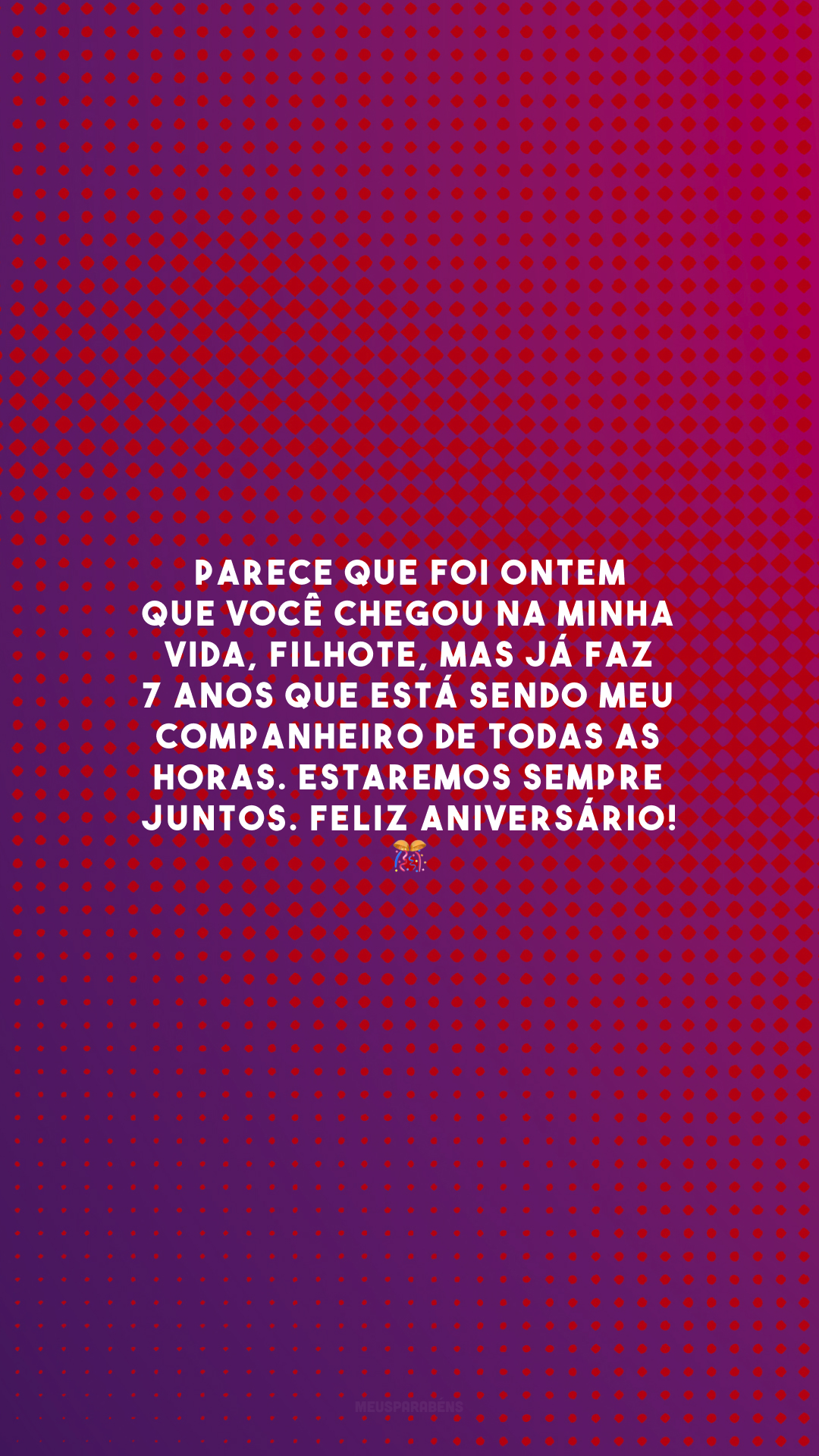 Parece que foi ontem que você chegou na minha vida, filhote, mas já faz 7 anos que está sendo meu companheiro de todas as horas. Estaremos sempre juntos. Feliz aniversário! 🎊