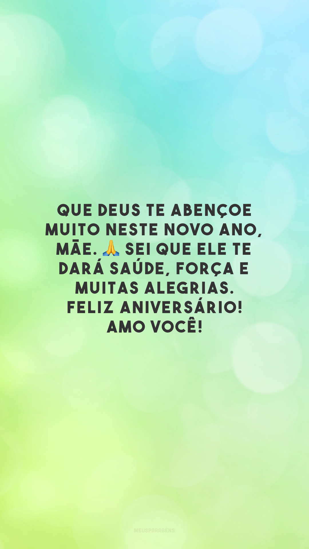 Que Deus te abençoe muito neste novo ano, mãe. 🙏 Sei que Ele te dará saúde, força e muitas alegrias. Feliz aniversário! Amo você!