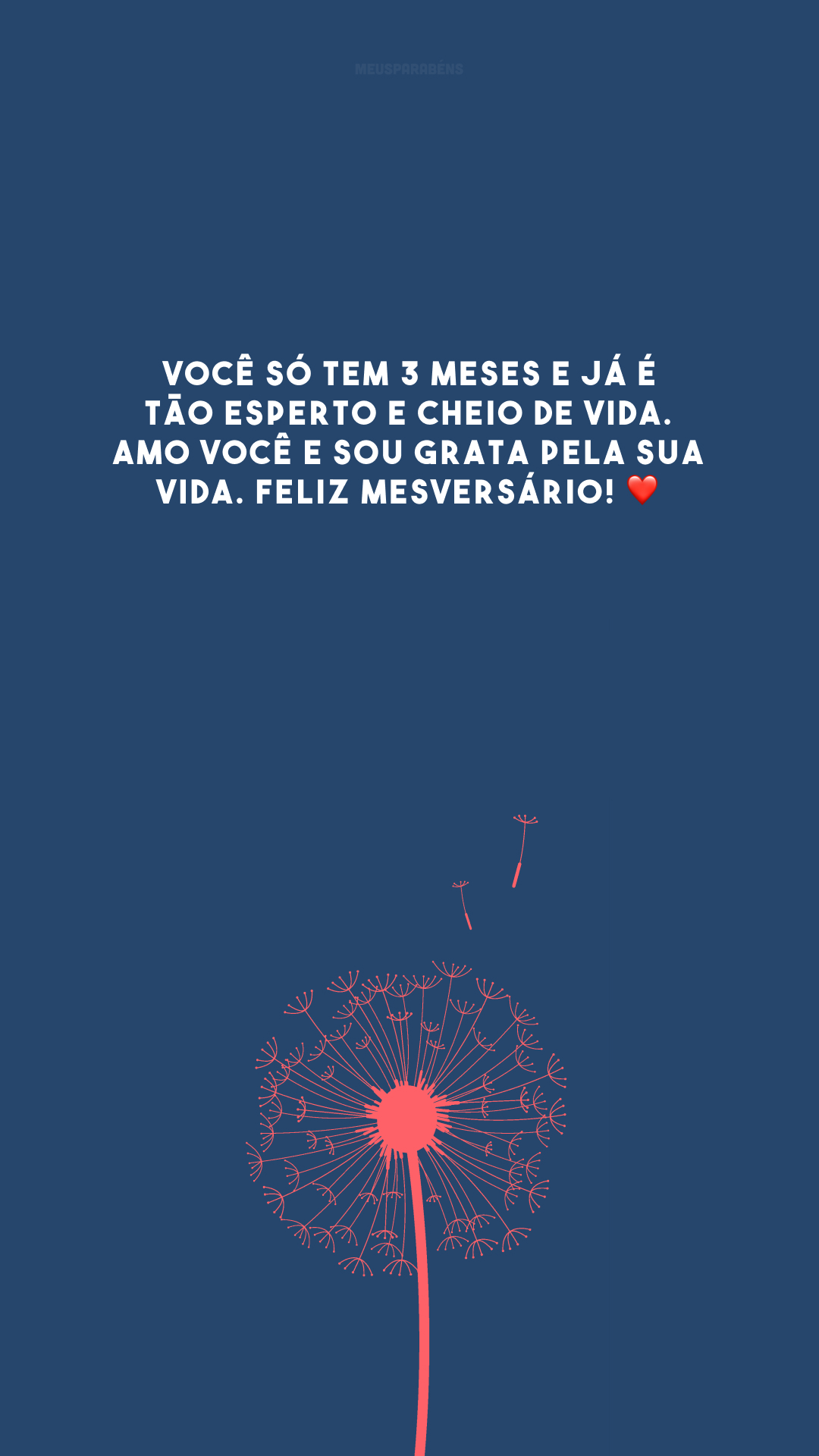Você só tem 3 meses e já é tão esperto e cheio de vida. Amo você e sou grata pela sua vida. Feliz mesversário! ❤️