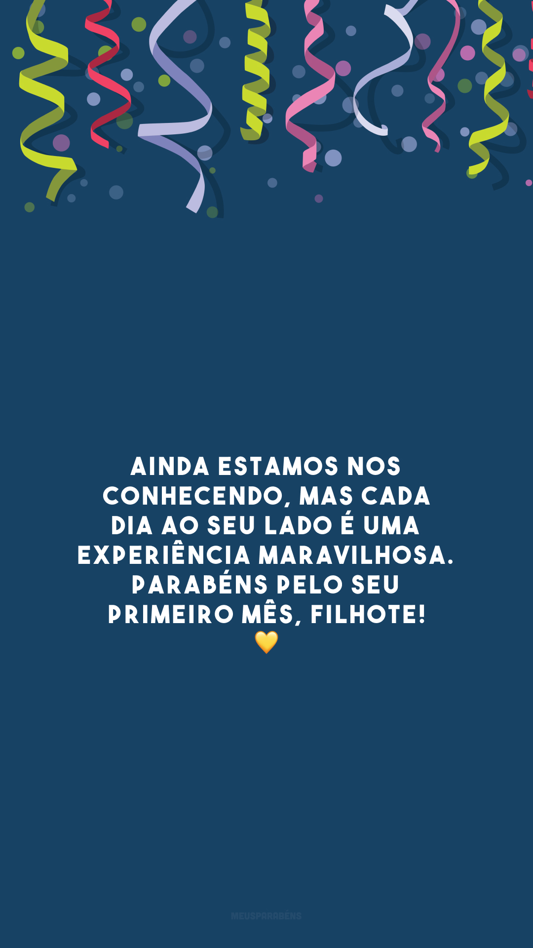 Ainda estamos nos conhecendo, mas cada dia ao seu lado é uma experiência maravilhosa. Parabéns pelo seu primeiro mês, filhote! 💛