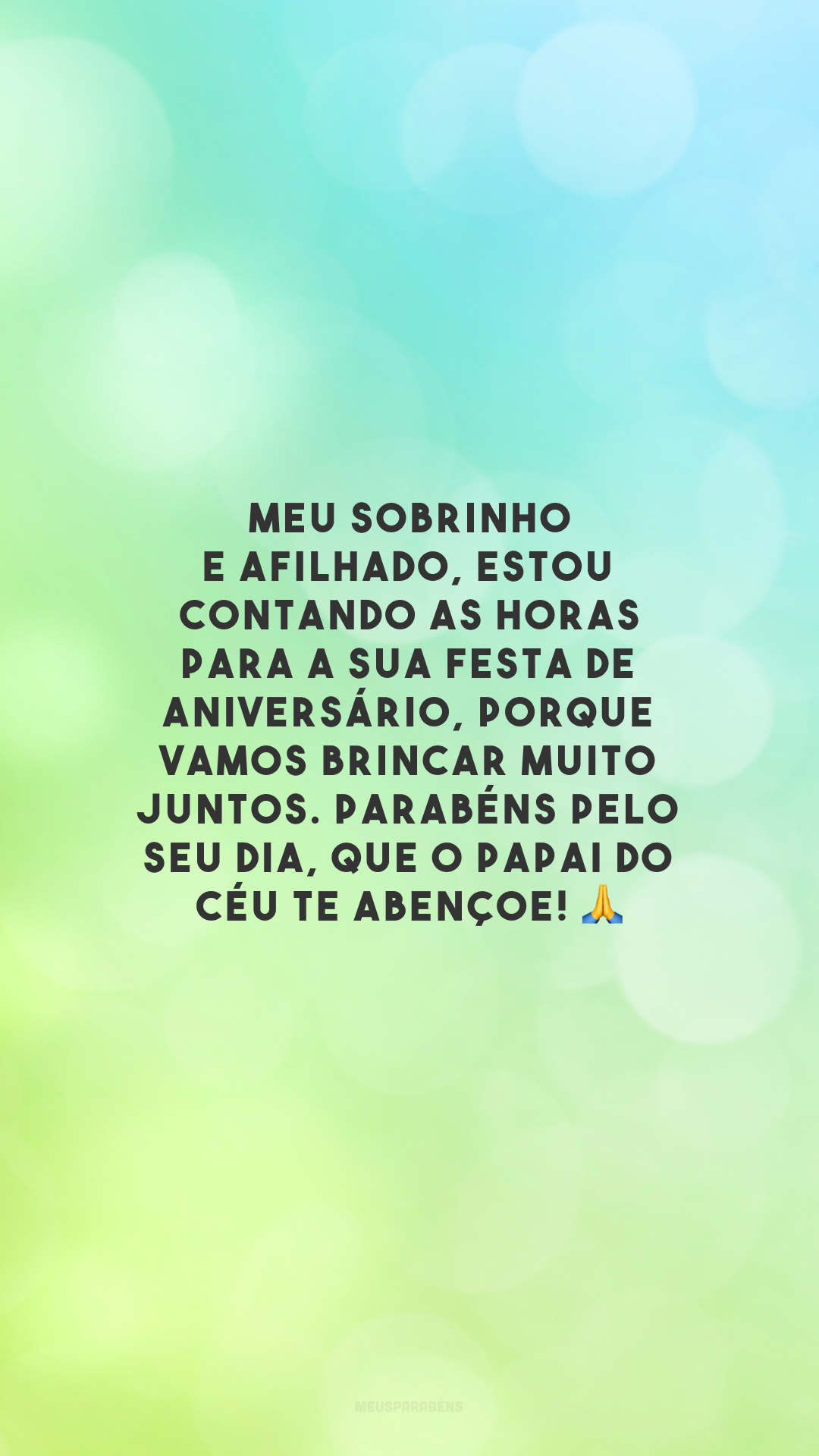 Meu sobrinho e afilhado, estou contando as horas para a sua festa de aniversário, porque vamos brincar muito juntos. Parabéns pelo seu dia, que o Papai do Céu te abençoe! 🙏