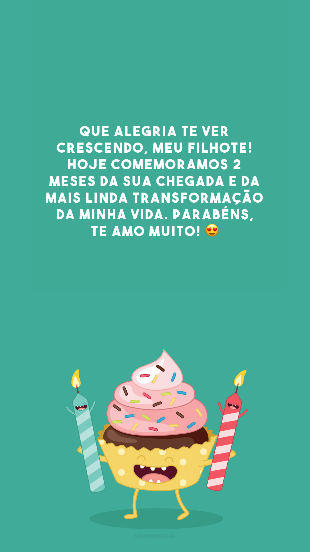 Que alegria te ver crescendo, meu filhote! Hoje comemoramos 2 meses da sua chegada e da mais linda transformação da minha vida. Parabéns, te amo muito! 😍